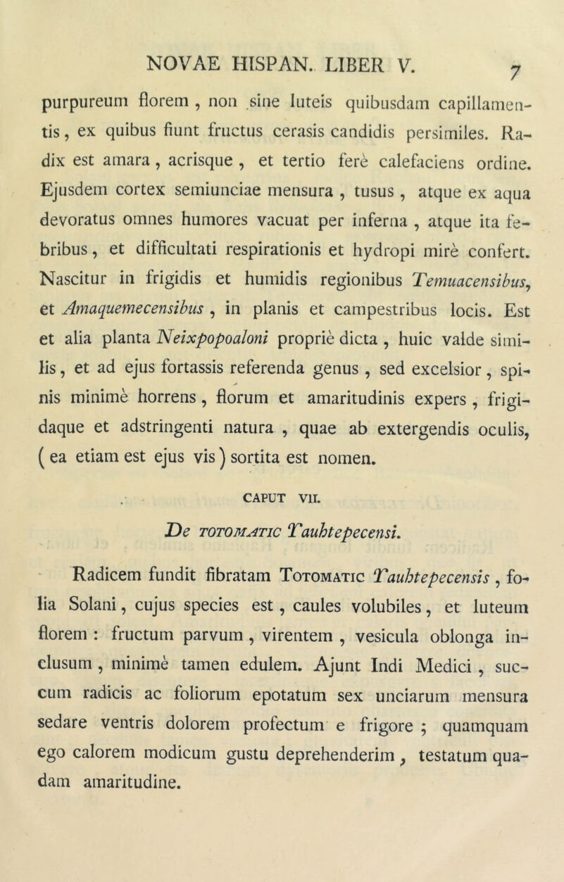 7 purpureum florem , non sine luteis quibusdam capillamen- tis , ex quibus fiunt fructus cerasis candidis persimiles. Ra- dix est amara , acrisque , et tertio fere calefitciens ordine. Ejusdem cortex semiunciae mensura , tusus , atque ex aqua devoratus omnes humores vacuat per inferna , atque ita fe- bribus , et difficultati respirationis et hydropi mire confert. Nascitur in frigidis et humidis regionibus Temuacensibus^ et Amaquemecensibus , in planis et campestribus locis. Est et alia planta Neixpopoaloni proprie dicta , huic valde simi- lis , et ad ejus fortassis referenda genus , sed excelsior, spi- nis minime horrens, florum et amaritudinis expers , frigi- daque et adstringenti natura , quae ab extergendis oculis, ( ea etiam est ejus vis ) sortita est nomen. , - CAPUT vii. T>e TOTOMATic TauhtepecensL Radicem fundit fibratam Totomatic Tauhtepecensis , fo- lia Solani, cujus species est, caules volubiles, et luteum florem : fructum parvum, virentem , vesicula oblonga in- clusum , minime tamen edulem. Ajunt Indi Medici , suc- cum radicis ac foliorum epotatum sex unciarum mensura sedare ventris dolorem profectum e frigore ; quamquam ego calorem modicum gustu deprehenderim , testatum qua- dam amaritudine.