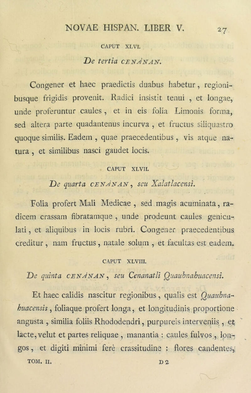 27 CAPUT XLVI. De tertia cenJnak, Congener et haec praedictis duabus habetur, regioni- busque frigidis provenit. Radici insistit tenui , et longae, unde proferuntur caules , et in eis folia Limonis forma, sed altera parte quadantenus incurva , et fructus siliquastro quoque similis. Eadem , quae praecedentibus, vis atque na- tura , et similibus nasci gaudet locis. CAPUT XLVII. De quarta cenJnan ^ seu Xalatlacensi, Folia profert Mali Medicae , sed magis acuminata, ra- dicem crassam fibratamque , unde prodeunt caules genicu- lati , et aliquibus in locis rubri. Congener praecedentibus creditur, nam fructus, natale solum , et facultas est eadem. CAPUT XLVIII. De quinta cenanan ^ seu Cenanatli Quauhnahuacensi, Et haec calidis nascitur regionibus, qualis est Quauhna^ huacensis ^ foliaque profert longa, et longitudinis proportione • angusta , similia foliis Rhododendri, purpureis interveniis , et lacte, velut et partes reliquae , manantia : caules fulvos, lon- gos , et digiti minimi fere crassitudine : flores candentes,