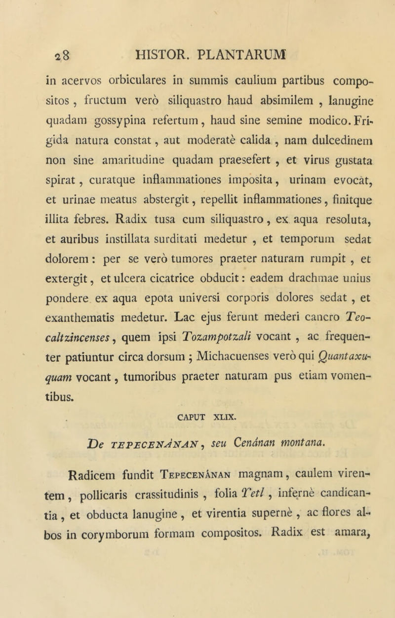 in acervos orbiculares in summis caulium partibus compo- sitos , fructum vero siliquastro haud absimilem , lanugine quadam gossypina refertum, haud sine semine modico.Fri- gida natura constat, aut moderate calida , nam dulcedinem non sine amaritudine quadam praesefert , et virus gustata spirat, curatque inflammationes imposita, urinam evocat, et urinae meatus abstergit, repellit inflammationes, finitque illita febres. Radix tusa cum siliquastro, ex aqua resoluta, et auribus instillata surditati medetur , et temporum sedat dolorem: per se vero tumores praeter naturam rumpit , et extergit, et ulcera cicatrice obducit: eadem drachmae unius pondere ex aqua epota universi corporis dolores sedat , et exanthematis medetur. Lac ejus ferunt mederi cancro Teo^ caltzincenses ^ quem ipsi Tozampotzali vocant , ac frequen- ter patiuntur circa dorsum ; Michacuenses vero qui Quantaxu- quam vocant, tumoribus praeter naturam pus etiam vomen- tibus. CAPUT XLIX. De tepecen^nan ^ seu Cendnan montana. Radicem fundit TepecenAnan magnam, caulem viren- tem , pollicaris crassitudinis , folia Tetl, inferne candican- tia , et obducta lanugine , et virentia superne , ac flores al- bos in corymborum formam compositos. Radix est amara,