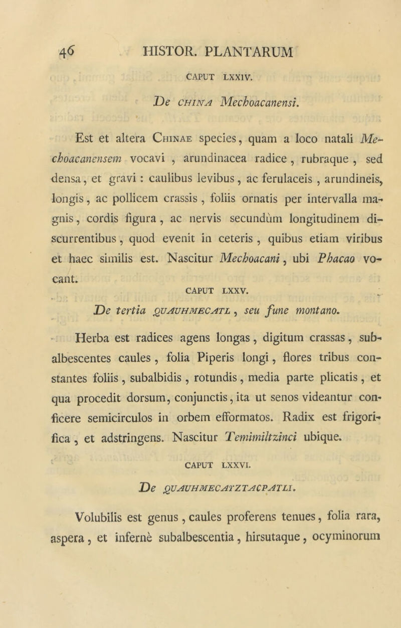 CAPUT LXXIV. De CHiNA Mechoacanensi, Est et altera Chinae species, quam a loco natali M?- choacanensem vocavi , arundinacea radice , rubraque , sed densa, et gravi: caulibus levibus, ac ferulaceis , arundineis, longis, ac pollicem crassis , foliis ornatis per intervalla ma-* gnis, cordis ligura, ac nervis secundum longitudinem di- scurrentibus , quod evenit in ceteris , quibus etiam viribus et haec similis est. Nascitur Mechoacani, ubi Fhacao vo- cant. CAPUT LXXV. * De tertia quauhmecatl , seu fune montano. Herba est radices agens longas, digitum crassas, sub- albescentes caules, folia Piperis longi, flores tribus con- stantes foliis , subalbidis , rotundis, media parte plicatis , et qua procedit dorsum, conjunctis, ita ut senos videantur con- ficere semicirculos in orbem elFormatos. Radix est frigori- fica , et adstringens. Nascitur Temimiltzinci ubique. CAPUT LXXVI. De jQUAUHMECArZTACPATLI. Volubilis est genus , caules proferens tenues, folia rara, aspera , et inferne subalbescentia, hirsutaque, ocyminorum