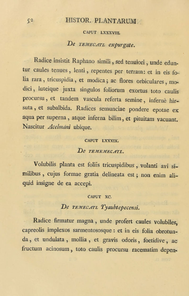 CAPUT LXXXVIII. De TEMEC^TL expurgate. Radice insistit Raphano simili, sed tenuiori, unde edun- tur caules tenues, lenti, repentes per terram: et in eis fo- lia rara , tricuspidia, et modica ^ ac flores orbiculares, mo- dici , luteique juxta singulos foliorum exortus toto caulis procursu, et tandem vascula referta semine, inferne hir- suta , et subalbida. Radices semunciae pondere epotae ex aqua per superna, atque inferna bilim, et pituitam vacuant. Nascitur Acelmdni ubique. CAPUT LXXXIX. T^e TEMEMECATL, Volubilis planta est foliis tricuspidibus , volanti avi si- milibus , cujus formae gratia delineata est; non enim ali- quid insigne de ea accepi. CAPUT xc. T>e TEMEC^TL Tyauhtepecensi, Radice firmatur magna, unde profert caules volubiles, capreolis implexos sarmentososque: et in eis folia obrotun- da, et undulata , mollia , et gravis odoris, foetidive, ac fructum acinosum, toto caulis procursu racematim depen-