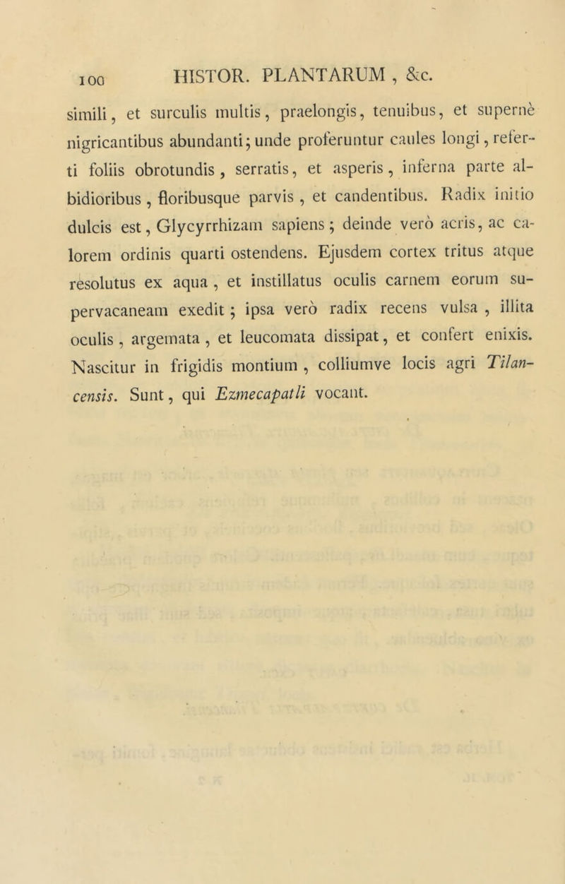 HISTOR. PLANTARUM , &c. simili, et surculis multis, praelongis, tenuibus, et superne nigricantibus abundanti; unde proferuntur caules longi, refer- ti foliis obrotundis , serratis, et asperis, interna parte al- bidioribus , floribusque parvis , et candentibus. Radix initio dulcis est, Glycyrrhizam sapiens; deinde vero acris, ac ca- lorem ordinis quarti ostendens. Ejusdem cortex tritus atque resolutus ex aqua , et instillatus oculis carnem eorum su- pervacaneam exedit; ipsa vero radix recens vulsa , illita oculis, argemata , et leucomata dissipat, et confert enixis. Nascitur in frigidis montium , colliumve locis agri Tilan- censis. Sunt, qui Ezmecapatli vocant.