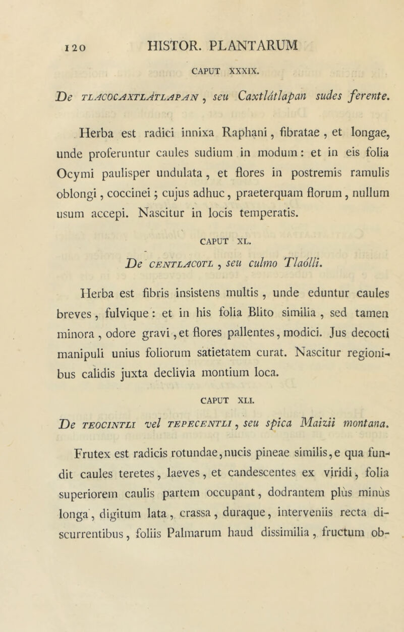 CAPUT XXXIX. T)e tlacocaxtlAtlavan , seu CaxtldtJapan sudes ferente. Herba est radici innixa Raphani, fibratae , et longae, unde proferuntur caules sudium in modum: et in eis folia Ocymi paulisper undulata, et flores in postremis ramulis oblongi, coccinei; cujus adhuc, praeterquam florum, nullum usum accepi. Nascitur in locis temperatis. CAPUT XL. De CENTLACOTL , seu culmo TlaolH, Herba est fibris insistens multis , unde eduntur caules breves, fulvique: et in his folia Blito similia , sed tamen minora , odore gravi ,et flores pallentes, modici. Jus decocti manipuli unius foliorum satietatem curat. Nascitur regioni-, bus calidis juxta declivia montium loca. CAPUT XLI. De TEOCiNTLi vel TEPECENTLi, seu spicu Maizii montana. Frutex est radicis rotundae,nucis pineae similis,e qua fun-- dit caules teretes, laeves, et candescentes ex viridi, folia superiorem caulis partem occupant, dodrantem plus minus longa, digitum lata, crassa, duraque, interveniis recta di- scurrentibus , foliis Palmarum haud dissimilia, fructum ob-