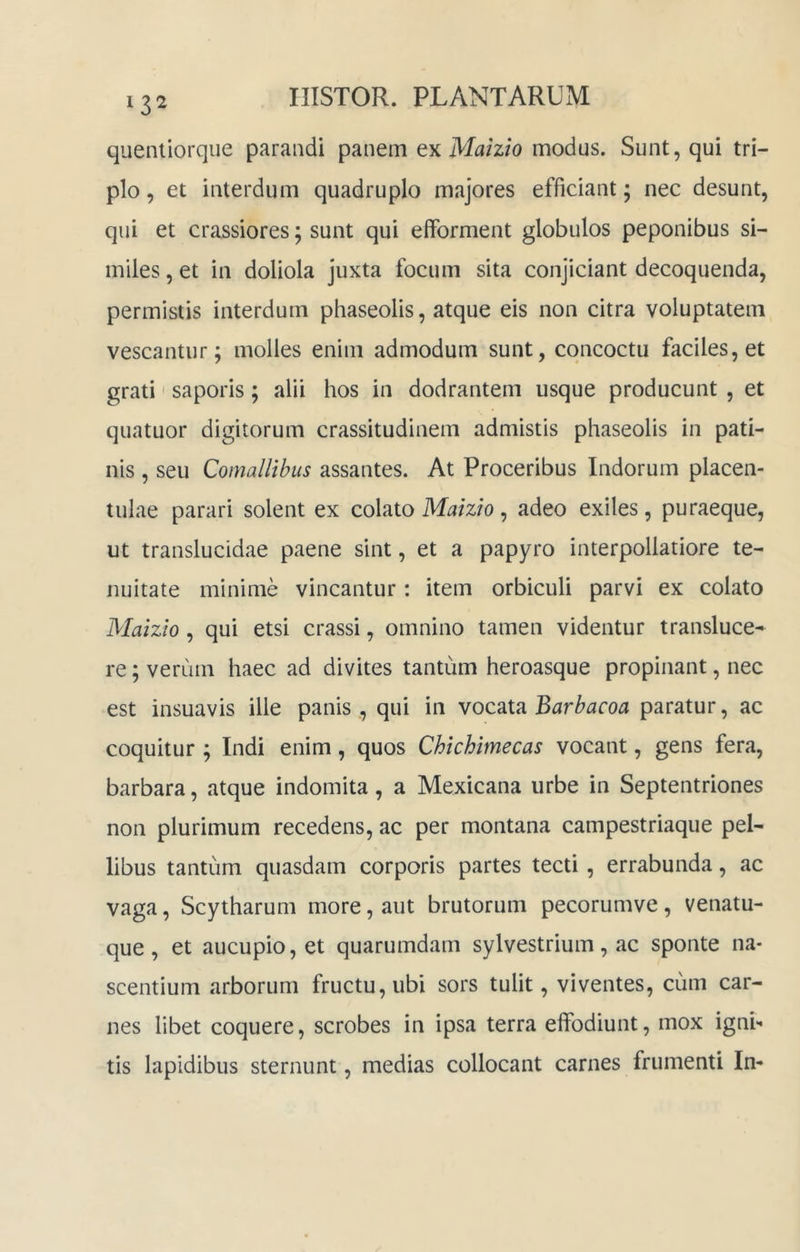 quenliorque parandi panem Mahio modus. Sunt, qui tri- plo , et interdum quadruplo majores efficiant; nec desunt, qui et crassiores; sunt qui efforment globulos peponibus si- miles , et in doliola juxta focum sita conjiciant decoquenda, permistis interdum phaseolis, atque eis non citra voluptatem vescantur; molles enim admodum sunt, concoctu faciles, et grati' saporis; alii hos in dodrantem usque producunt , et quatuor digitorum crassitudinem admistis phaseolis in pati- nis , seu Comallibus assantes. At Proceribus Indorum placen- tiilae parari solent ex colato iVL/z/o, adeo exiles, puraeque, ut translucidae paene sint, et a papyro interpollatiore te- nuitate minime vincantur : item orbiculi parvi ex colato Maizio, qui etsi crassi, omnino tamen videntur transluce- re; verum haec ad divites tantum heroasque propinant, nec est insuavis ille panis., qui in vocata Barbacoa paratur, ac coquitur ; Indi enim, quos Chichimecas vocant, gens fera, barbara, atque indomita, a Mexicana urbe in Septentriones non plurimum recedens, ac per montana campestriaque pel- libus tantum quasdam corporis partes tecti, errabunda, ac vaga, Scytharum more, aut brutorum pecorumve, venatu- que , et aucupio, et quarumdam sylvestrium, ac sponte na- scentium arborum fructu, ubi sors tulit, viventes, cum car- nes libet coquere, scrobes in ipsa terra effodiunt, mox ignb tis lapidibus sternunt, medias collocant carnes frumenti Im