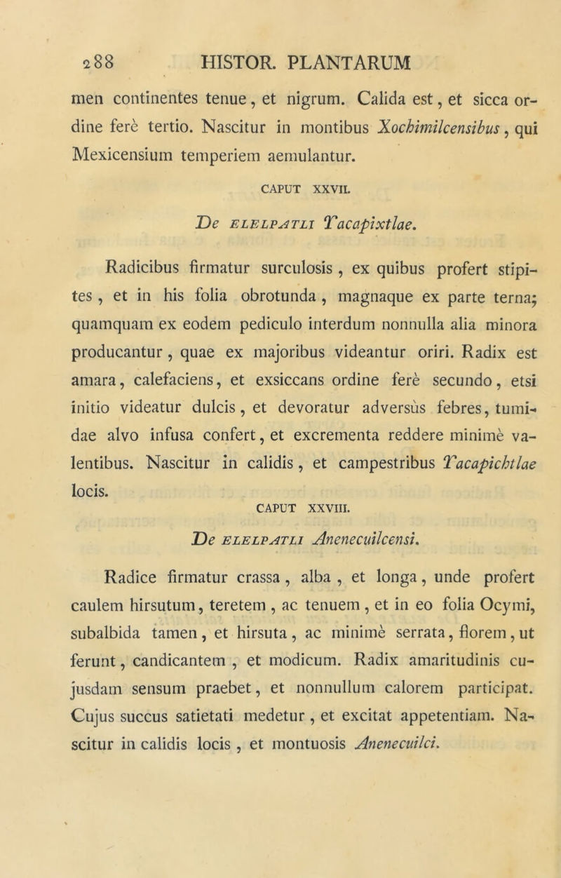 men continentes tenue, et nigrum. Calida est, et sicca or- dine fere tertio. Nascitur in montibus Xochimilcensibus, qui Mexicensium temperiem aemulantur. CAPUT XXVII. De ELELP^TLi Tacapixtlae. Radicibus firmatur surculosis, ex quibus profert stipi- tes , et in his folia obrotunda, magnaque ex parte terna; quamquam ex eodem pediculo interdum nonnulla alia minora producantur , quae ex majoribus videantur oriri. Radix est amara, calefaciens, et exsiccans ordine fere secundo, etsi initio videatur dulcis, et devoratur adversus febres, tumi- dae alvo infusa confert, et excrementa reddere minime va- lentibus. Nascitur in calidis, et campestribus Tacapkhtlae locis. CAPUT xxviii. De ELELPATLi AnenecuUcensL Radice firmatur crassa , alba , et longa, unde profert caulem hirsutum, teretem , ac tenuem , et in eo folia Ocymi, subalbida tamen, et hirsuta , ac minime serrata, florem, ut ferunt, candicantem , et modicum. Radix amaritudinis cu- jusdam sensum praebet, et nonnullum calorem participat. Cujus succus satietati medetur, et excitat appetentiam. Na- scitur in calidis locis, et montuosis Anenecuilci.