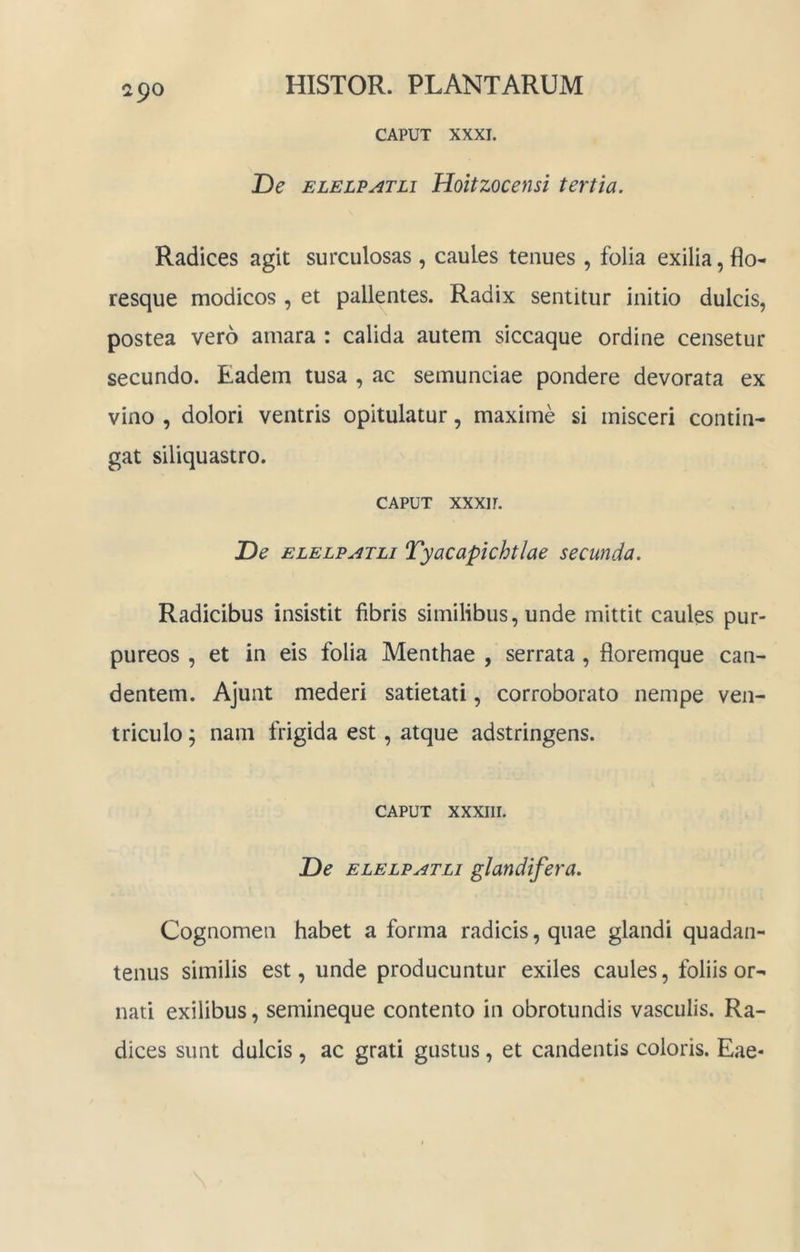 CAPUT XXXI. De ELELP^TLi Hoitzocensi tertia. Radices agit surculosas , caules tenues , folia exilia, flo- resque modicos, et pallentes. Radix sentitur initio dulcis, postea vero amara : calida autem siccaque ordine censetur secundo. Eadem tusa , ac semunciae pondere devorata ex vino , dolori ventris opitulatur, maxime si misceri contin- gat siliquastro. CAPUT XXXII. De ELELEATLi Tyacapichtlae secunda. Radicibus insistit fibris similibus, unde mittit caules pur- pureos , et in eis folia Menthae , serrata, floremque can- dentem. Ajunt mederi satietati, corroborato nempe ven- triculo ^ nam frigida est, atque adstringens. CAPUT XXXIII. De ELELEATLi glandifera. Cognomen habet a forma radicis, quae glandi quadan- tenus similis est, unde producuntur exiles caules, foliis or- nati exilibus, semineque contento in obrotundis vasculis. Ra- dices sunt dulcis , ac grati gustus, et candentis coloris. Eae-
