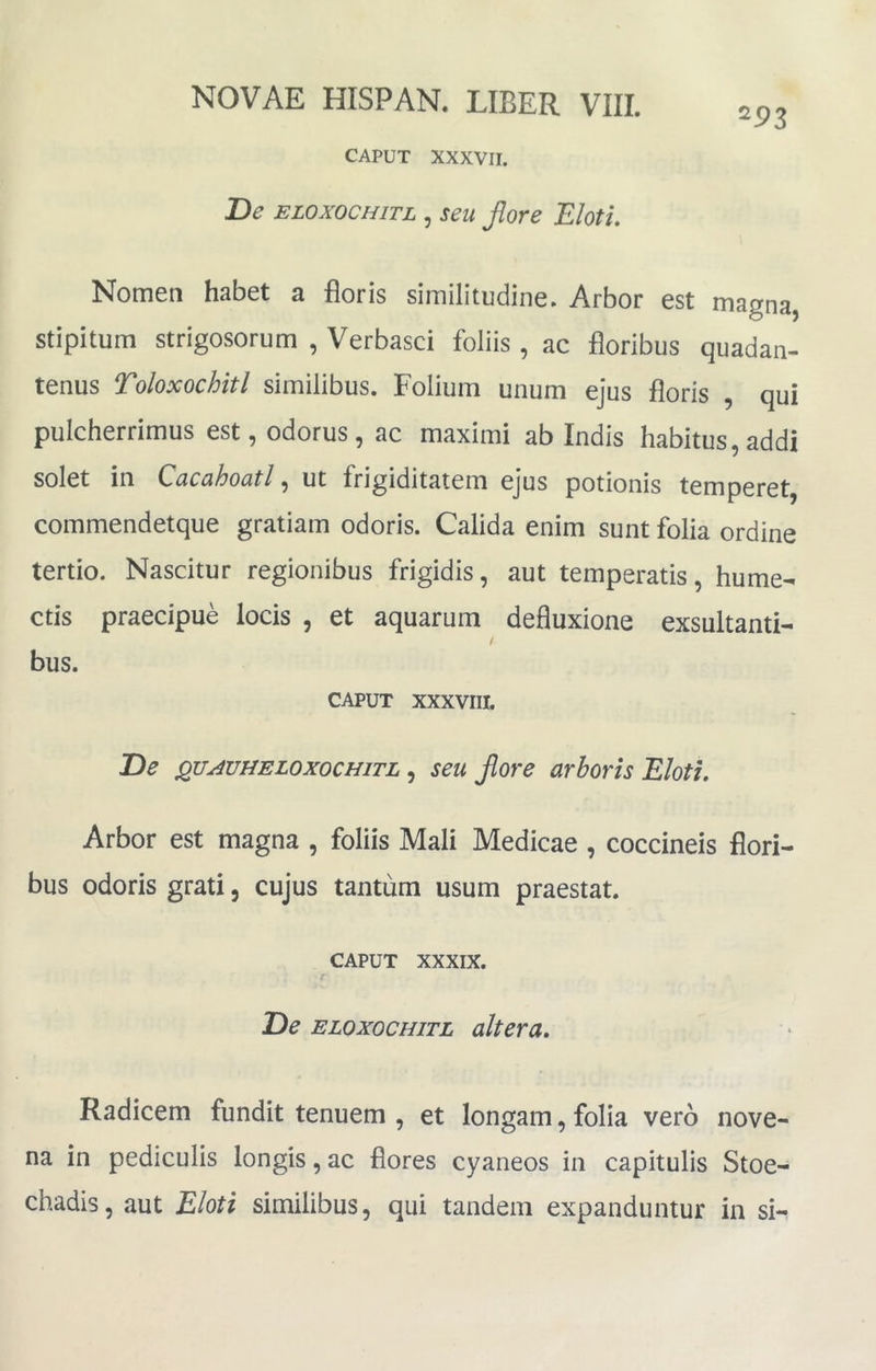 293 CAPUT xxxvir. De ELOXOCHITL , seu flore Elotu Nomen habet a floris similitudine. Arbor est magna, stipitum strigosorum , Verbasci foliis , ac floribus quadan- tenus Toloxochitl similibus. Folium unum ejus floris , qui pulcherrimus est, odorus, ac maximi ab Indis habitus, addi solet in Cucdhoutl, ut frigiditatem ejus potionis temperet commendetque gratiam odoris. Calida enim sunt folia ordine tertio. Nascitur regionibus frigidis, aut temperatis, hume- ctis praecipue locis , et aquarum defluxione exsultanti- I bus. CAPUT XXXVIII. De quauheloxochitl , seu fore arboris Eloti, Arbor est magna , foliis Mali Medicae , coccineis flori- bus odoris grati, cujus tantum usum praestat. CAPUT XXXIX. De ELOXOCHITL altera. Radicem fundit tenuem , et longam, folia vero nove- na in pediculis longis, ac flores cyaneos in capitulis Stoe- chadis, aut Eloti similibus, qui tandem expanduntur in si-