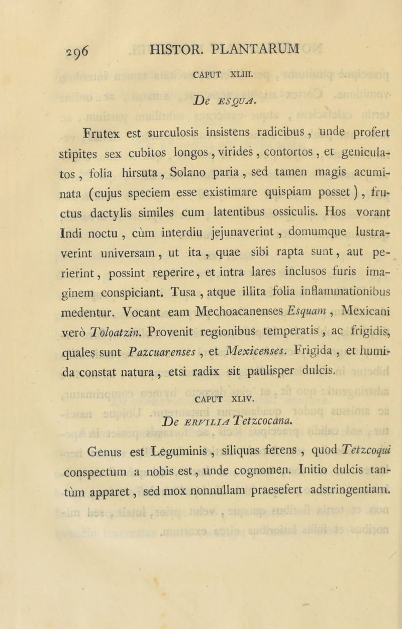 CAPUT XLIII. De ESQU^. Frutex est surculosis insistens radicibus, unde profert stipites sex cubitos longos , virides, contortos , et genicula- tos , folia hirsuta, Solano paria , sed tamen magis acumi- nata (cujus speciem esse existimare quispiam posset), fru- ctus dactylis similes cum latentibus ossiculis. Hos vorant Indi noctu , cum interdiu jejunaverint , domumque lustra- verint universam, ut ita , quae sibi rapta sunt, aut pe- rierint, possint reperire, et intra lares inclusos furis ima- ginem conspiciant. Tusa , atque illita folia inflammationibus medentur. Vocant eam Mechoacanenses Esquam , Mexicani vero Toloatzm. Provenit regionibus temperatis, ac frigidis, quales sunt Pazcuarenses , et Mexicenses. Frigida , et liumi- da constat natura, etsi radix sit paulisper dulcis. CAPUT XLIV. De ERVILIA Tetzcocana, Genus est Leguminis , siliquas ferens, quod Tetzcoqui conspectum a nobis est, unde cognomen. Initio dulcis tan- tum apparet, sed mox nonnullam praesefert adstringentiam.