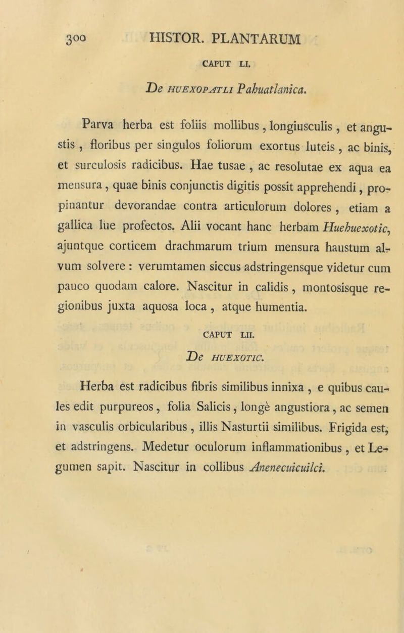 CAPUT LI. T>e HUExopATLi FahmtJanica, Parva herba est foliis mollibus , longiusculis , et angu- stis , floribus per singulos foliorum exortus luteis , ac binis, et surculosis radicibus. Hae tusae , ac resolutae ex aqua ea mensura, quae binis conjunctis digitis possit apprehendi, pro- pinantur devorandae contra articulorum dolores , etiam a gallica lue profectos. Alii vocant hanc herbam Huehuexotic^ ajuntque corticem drachmarum trium mensura haustum al- vum solvere : verumtamen siccus adstringensque videtur cum pauco quodam calore. Nascitur in calidis, montosisque re- gionibus juxta aquosa loca , atque humentia. CAPUT LII. T)e HUEXOTIC. Herba est radicibus fibris similibus innixa , e quibus cau- les edit purpureos, folia Salicis, longe angustiora, ac semen in vasculis orbicularibus , illis Nasturtii similibus. Frigida est, et adstringens. Medetur oculorum inflammationibus, et Le- gumen sapit. Nascitur in collibus Anenecuicuild,
