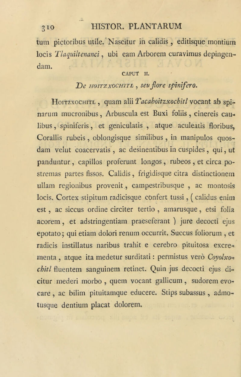 tum pictoribus utile. Nascitur in calidis, editisque montium locis Tlaquiltenand , ubi eam Arborem curavimus depingen- dam. CAPUT II. De HOiTzxoCHiTL , seujlore spinifero, Hoitzxochitl , quam alii Tacaholtzxochitl vocant ab spi- narum mucronibus, Arbuscula est Buxi foliis, cinereis cau-* libus, spiniferis, et geniculatis , atque aculeatis floribus, Corallis rubeis, oblongisque similibus , in manipulos quos- dam velut coacervatis , ac desinentibus in cuspides, qui, ut panduntur, capillos proferunt longos, rubeos, et circa po- stremas partes fissos. Calidis, frigidisque citra distinctionem ullam regionibus provenit, campestribusque , ac montosis locis. Cortex stipitum radicisque cOnfert tussi, ( calidus enim est , ac siccus ordine circiter tertio , amarusque, etsi folia acorem, et adstringentiam praeseferant ) jure decocti ejus epotato; qui etiam dolori renum occurrit. Succus foliorum , et radicis instillatus naribus trahit e cerebro pituitosa excre- menta , atque ita medetur surditati: permistus vero Coyolxo-! chitl fluentem sanguinem retinet. Quin jus decocti ejus di- citur mederi morbo , quem vocant gallicum , sudorem evo- care , ac bilim pituitamque educere. Stips subassus , admo- tusque dentium placat dolorem.