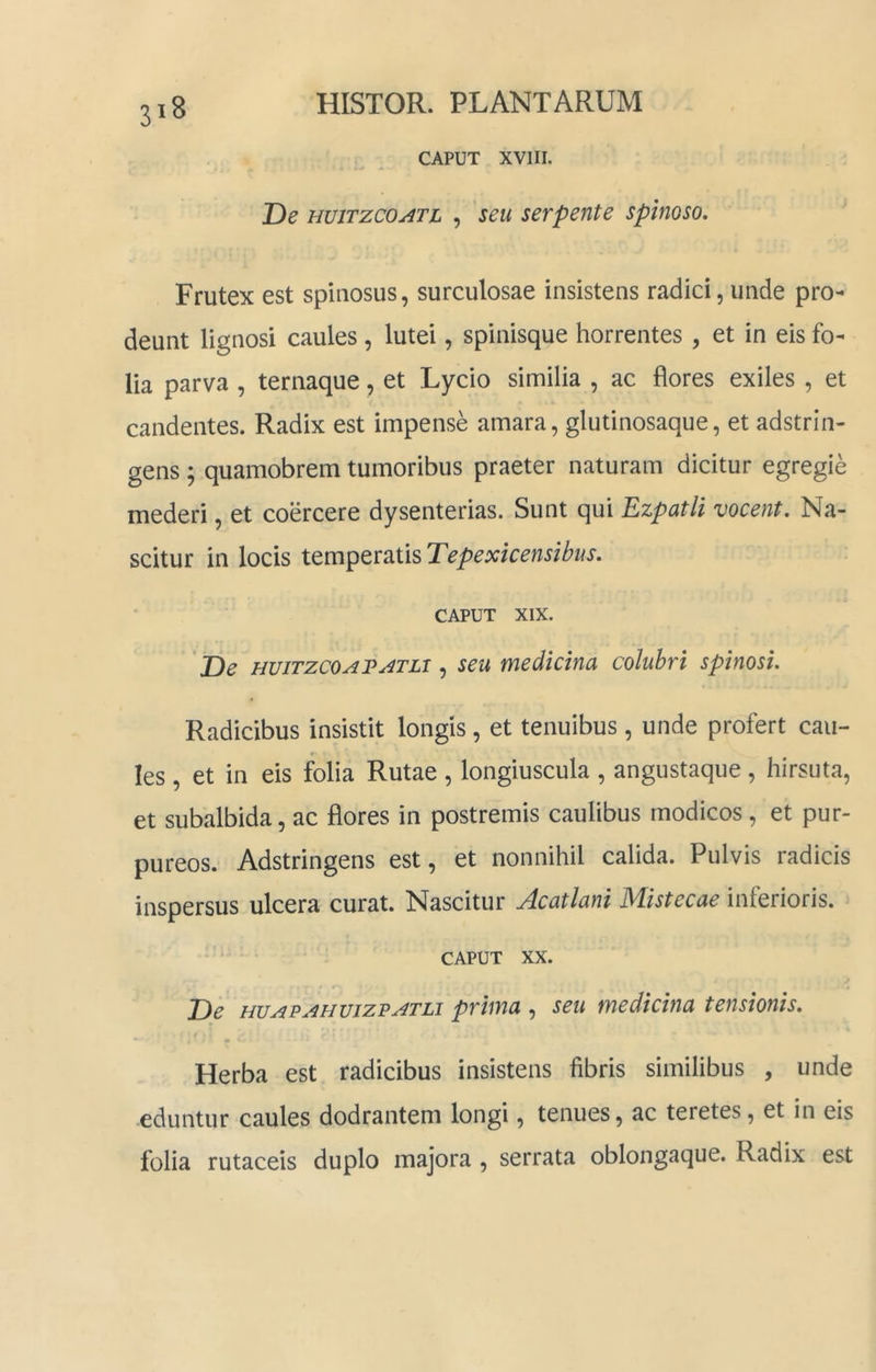 CAPUT XVIII. De HuiTzcoATL , seu serpente spinoso. Frutex est spinosus, surculosae insistens radici, unde pro- deunt lignosi caules , lutei, spinisque horrentes , et in eis fo- lia parva , ternaque, et Lycio similia , ac flores exiles , et candentes. Radix est impense amara, glutinosaque, et adstrin- gens ; quamobrem tumoribus praeter naturam dicitur egregie mederi, et coercere dysenterias. Sunt qui Ezpatli vocent. Na- scitur in locis temperatis Tepexicensibus. CAPUT XIX. De HUiTzcoAPu^TLi ^ seu medtclna colubri spinosi. Radicibus insistit longis, et tenuibus, unde profert cau- les , et in eis folia Rutae , longiuscula , angustaque , hirsuta, et subalbida, ac flores in postremis caulibus modicos, et pur- pureos. Adstringens est, et nonnihil calida. Pulvis radicis inspersus ulcera curat. Nascitur Acatlani Mistecae inferioris. CAPUT XX. De HUAPAHuizPATLi priiYiu , scu medicinu tensionis. Herba est radicibus insistens libris similibus , unde eduntur caules dodrantem longi, tenues, ac teretes, et in eis folia rutaceis duplo majora , serrata oblongaque. Radix est