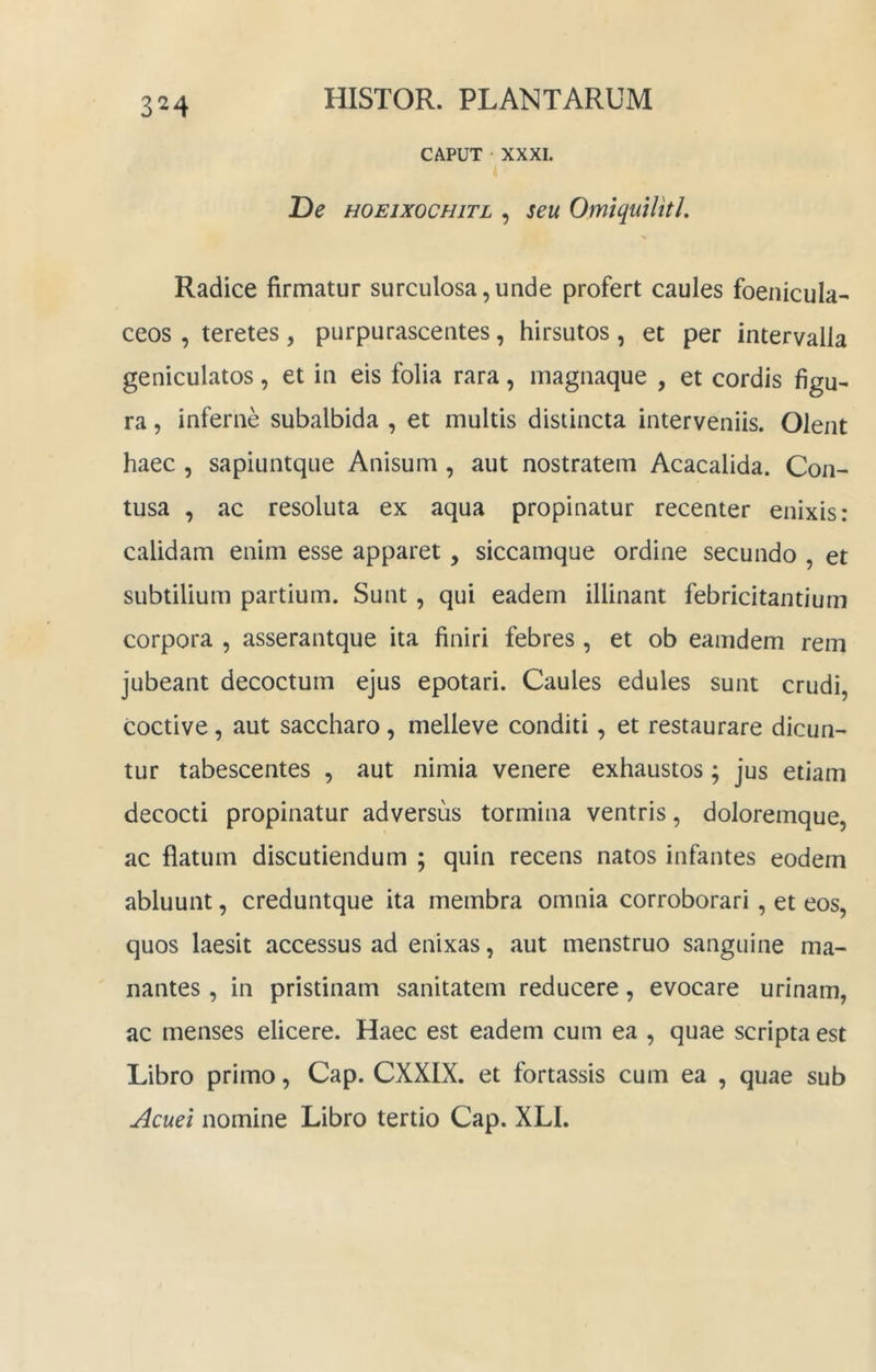 3^4 CAPUT XXXI. Be HOEixocHiTL , 3eu OmiquiUtL Radice firmatur surculosa,unde profert caules foenicula- ceos , teretes , purpurascentes, hirsutos , et per intervalla geniculatos, et in eis folia rara, magnaque , et cordis figu- ra , inferne subalbida , et multis distincta interveniis. Olent haec , sapiuntque Anisum, aut nostratem Acacalida. Con- tusa , ac resoluta ex aqua propinatur recenter enixis: calidam enim esse apparet , siccamque ordine secundo , et subtilium partium. Sunt, qui eadem illinant febricitantium corpora , asserantque ita finiri febres , et ob eamdem rem jubeant decoctum ejus epotari. Caules edules sunt crudi, coctive, aut saccharo, melleve conditi, et restaurare dicun- tur tabescentes , aut nimia venere exhaustos; jus etiam decocti propinatur adversus tormina ventris, doloremque, ac flatum discutiendum ; quin recens natos infantes eodem abluunt, creduntque ita membra omnia corroborari, et eos, quos laesit accessus ad enixas, aut menstruo sanguine ma- nantes , in pristinam sanitatem reducere, evocare urinam, ac menses elicere. Haec est eadem cum ea , quae scripta est Libro primo, Cap. CXXIX. et fortassis cum ea , quae sub Acuet nomine Libro tertio Cap. XLI.