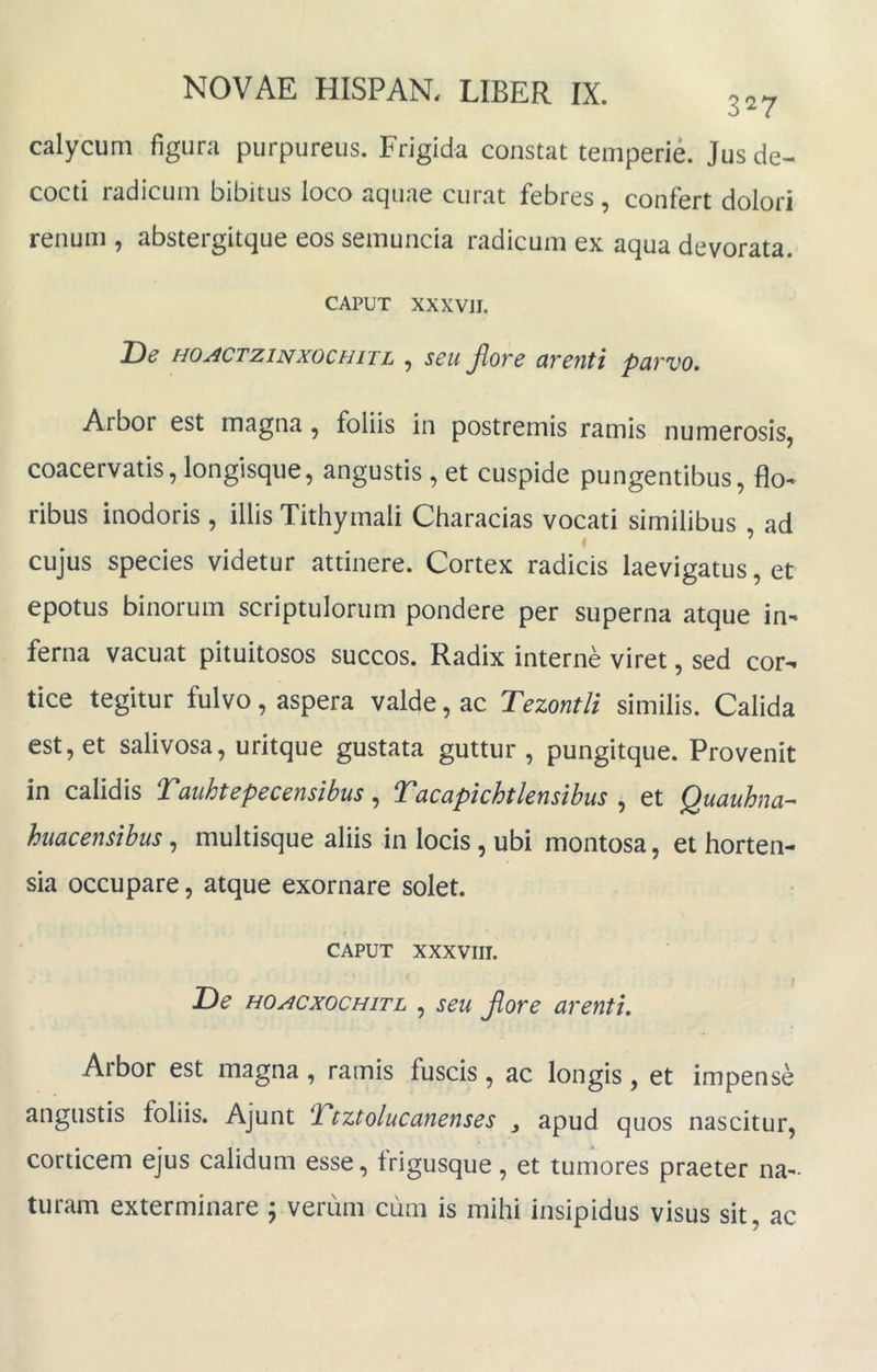 calycum figura purpureus. Frigida constat temperie. Jus de- cocti radicum bibitus loco aquae curat febres , confert dolori renum , abstergitque eos semuncia radicum ex aqua devorata. CAPUT XXXVII, De HOACTziNxocHiTL , seu Jlore arenti parvo. Arbor est magna, foliis in postremis ramis numerosis, coacervatis, longisque, angustis , et cuspide pungentibus, flo- ribus inodoris, illis Tithymali Characias vocati similibus ad cujus species videtur attinere. Cortex radicis laevigatus, et epotus binorum scriptulorum pondere per superna atque in- ferna vacuat pituitosos succos. Radix interne viret, sed cor- tice tegitur fulvo, aspera valde, ac Tezontli similis. Calida est, et salivosa, uritque gustata guttur, pungitque. Provenit in calidis Tauhtepecensibus, Tacapkhtlensibus , et Quauhna- huacenstbus, multisque aliis in locis, ubi montosa, et horten- sia occupare, atque exornare solet. $ CAPUT XXXVIII. De HO/icxocHiTL , seu Jlore arenti. Arbor est magna, ramis fuscis, ac longis, et impense angustis foliis, Ajunt T‘tztolucanenses y apud quos nascitur, corticem ejus calidum esse, trigusque, et tumores praeter na-- turam exterminare ; verum cum is mihi insipidus visus sit, ac