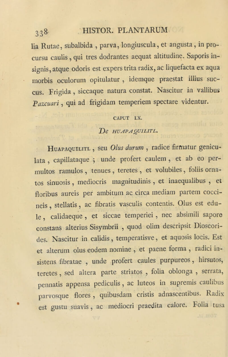 lia Rutae, subalbida , parva, longiuscula, et angusta, in pro- cursu caulis , qui tres dodrantes aequat altitudine. Saporis in- signis, atque odoris est expers trita radix, ac liquefacta ex aqua morbis oculorum opitulatur , idemque praestat illius suc- cus. Frigida , siccaque natura constat. Nascitur in vallibus Tazcuari, qui ad frigidam temperiem spectare videntur. CAPUT LX. De HVAPAQUILITL. Huapaquilitl , seu Olus durum , radice firmatur genicu- lata , capillataque ; unde profert caulem , et ab eo per- multos ramulos , tenues , teretes , et volubiles, foliis orna- tos sinuosis, mediocris magnitudinis , et inaequalibus , et floribus aureis per ambitum ac circa mediam partem cocci- neis , stellatis, ac fibratis vasculis contentis. Olus est edu- le , calidaeque , et siccae temperiei , nec absimili sapore constans alterius Sisymbrii , quod olim descripsit Dioscori- des. Nascitur in calidis, temperatisve, et aquosis locis. Est et alterum olus eodem nomine , et paene forma , radici in- sistens fibratae , unde profert caules purpureos, hirsutos, teretes , sed altera parte striatos , folia oblonga , serrata, pennatis appensa pediculis, ac luteos in supremis caulibus parvosque flores, quibusdam cristis adnascentibus. Radix est gustu suavis, ac mediocri praedita calore. Folia tusa