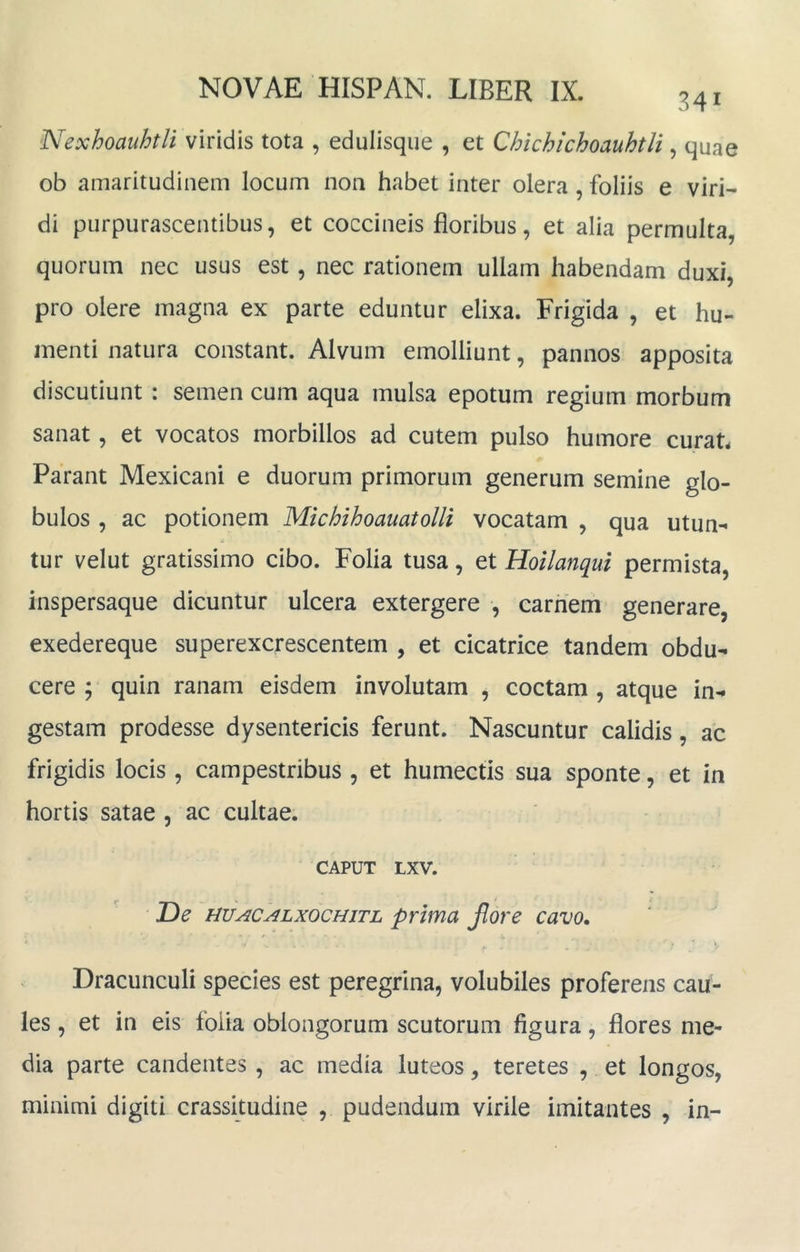341 Nexhoauhtli viridis tota , edulisque , et Chichichoauhtli, quae ob amaritudinem locum non habet inter olera, foliis e viri- di purpurascentibus, et coccineis floribus, et alia permulta, quorum nec usus est, nec rationem ullam habendam duxi, pro olere magna ex parte eduntur elixa. Frigida , et hu- menti natura constant. Alvum emolliunt, pannos apposita discutiunt : semen cum aqua mulsa epotum regium morbum sanat, et vocatos morbillos ad cutem pulso humore curat. Parant Mexicani e duorum primorum generum semine glo- bulos , ac potionem Michihoamtolli vocatam , qua utun- tur velut gratissimo cibo. Folia tusa, et Hoilanqui permista, inspersaque dicuntur ulcera extergere , carnem generare, exedereque superexcrescentem , et cicatrice tandem obdu- cere ; quin ranam eisdem involutam , coctam , atque in- gestam prodesse dysentericis ferunt. Nascuntur calidis, ac frigidis locis , campestribus , et humectis sua sponte, et in hortis satae, ac cultae. CAPUT LXV. T)e HUACALxocHiTL prima flore cavo. Dracunculi species est peregrina, volubiles proferens cau- les , et in eis foiia oblongorum scutorum figura, flores me- dia parte candentes , ac media luteos, teretes , et longos, minimi digiti crassitudine , pudendum virile imitantes , in-