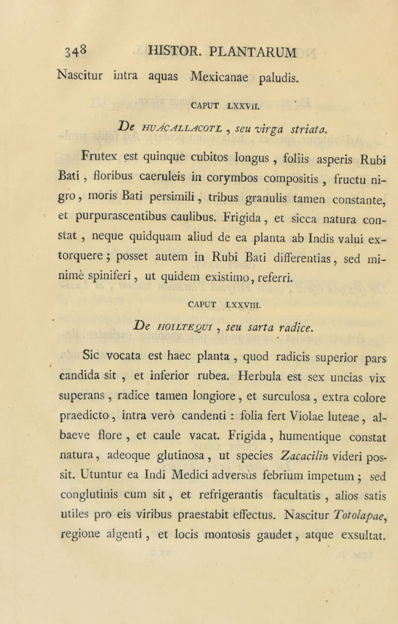 Nascitur intra aquas Mexicanae paludis. CAPUT LXXVil. De HuJcALLACOTL , seu uirgcx striata. Frutex est quinque cubitos longus , foliis asperis Rubi Bati 9 floribus caeruleis in corymbos compositis , fructu ni- gro , moris Bati persimili, tribus granulis tamen constante, V et purpurascentibus caulibus. Frigida, et sicca natura con- stat , neque quidquam aliud de ea planta ab Indis valui ex- torquere ; posset autem in Rubi Bati differentias, sed mi- nime spiniferi, ut quidem existimo, referri. CAPUT LXXVIII. De HOiLTEQui, seu sarta radice. Sic vocata est haec planta , quod radicis superior pars candida sit , et inferior rubea. Herbula est sex uncias vix / superans , radice tamen longiore, et surculosa, extra colore praedicto, intra vero candenti : folia fert Violae luteae, al- baeve flore , et caule vacat. Frigida, humentique constat natura, adeoque glutinosa, ut species Zacacilin videri pos- sit. Utuntur ea Indi Medici adversus febrium impetum ; sed conglutinis cum sit, et refrigerantis facultatis , alios satis utiles pro eis viribus praestabit effectus. Nascitur Totolapae,^ regione algenti, et locis montosis gaudet, atque exsultat.