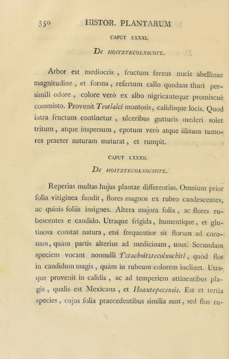 CAPUT LXXXI. De HOITZTECOLXOCOTL, Arbor est mediocris , fructum ferens nucis abellinae magnitudine , et forma, refertum callo quodam thuri per- simili odore ^ colore vero ex albo nigricanteque promiscue commisto. Provenit Teotlalci montosis, calidisque locis. Quod intra fructum continetur , ulceribus gutturis mederi solet tritum, atque inspersum , epotum vero atque illitum tumo- res praeter naturam maturat, et rumpit. CAPUT LXXXII. De HOITZTECOLXOCHITL. Reperias multas hujus plantae differentias. Omnium prior folia vitiginea fundit, flores magnos ex rubro candescentes, ac quinis foliis insignes. Altera majora folia , ac flores ru- bescentes e candido. Utraque frigida, humentique, et glu- tinosa constat natura, etsi frequentior sit florum ad coro- nam, quam partis alterius ad medicinam, usus. Secundam speciem vocant nonnulli Tztachoitztecolxochitl ^ quod flos in candidum magis, quam in rubeum colorem inclinet. Utra- que provenit in calidis , ac ad temperiem attinentibus pla- gis , qualis est Mexicana , et Hoaxtepecensis. Est et tertia species, cujus folia praecedentibus similia sunt, sed flos ru-