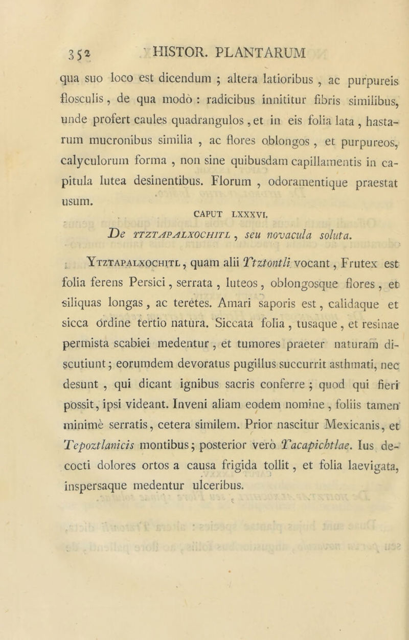 qua suo loco est dicendum ; altera latioribus , ac purpureis flosculis, de qua modo : radicibus innititur fibris similibus, unde profert caules quadrangulos ,et in eis folia lata , hasta- rum mucronibus similia , ac flores oblongos, et purpureos, calyculorum forma , non sine quibusdam capillamentis in ca- pitula lutea desinentibus. Florum , odoramentique praestat usum. CAPUT LXXXVI. De ‘TTZTAPALXOCHITL , seu novaciila soluta, Ytztapalxochitl , quam alii Ttztontli vocant, Frutex est folia ferens Persici, serrata , luteos, oblongosque flores , et siliquas longas, ac teretes. Amari saporis est, calidaque et sicca ordine tertio natura. Siccata folia , tusaque , et resinae permista scabiei medentur, et tumores praeter naturam di- scutiunt; eorumdem devoratus pugillus succurrit asthmati, nec desunt , qui dicant ignibus sacris conferre ; quod qui fieri possit, ipsi videant. Inveni aliam eodem nomine, foliis tamen' minime serratis, cetera similem. Prior nascitur Mexicanis, et Tepoztlanicis montibus; posterior vero Tacapichtlae. Ius de- cocti dolores ortos a causa frigida tollit, et folia laevigata, inspersaque medentur ulceribus.