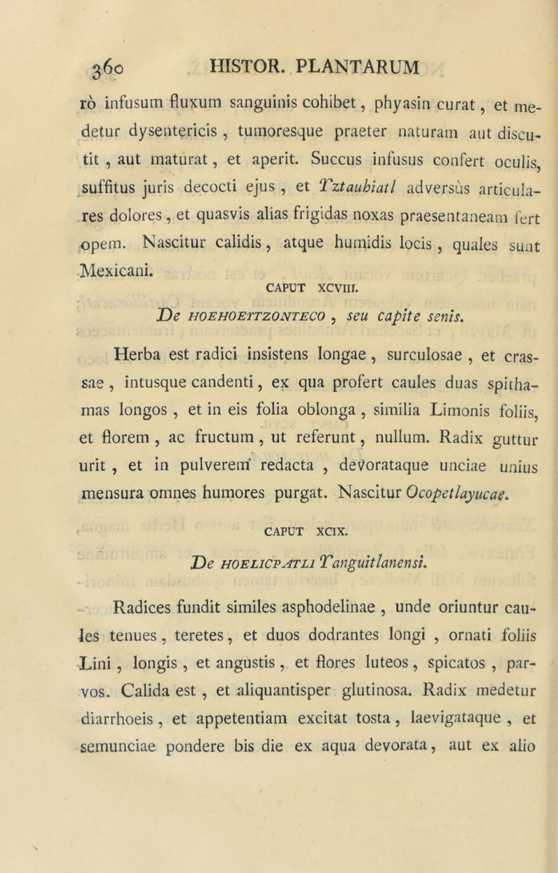 ro infusum fluxum sanguinis cohibet, phyasin curat, et me- detur dysentericis , tumoresque praeter naturam aut discu- tit , aut maturat, et aperit. Succus infusus confert oculis suffitus juris decocti ejus, et Tztauhiatl adversus articula- .res dolores, et quasvis alias frigidas noxas praesentaneam fert opem. Nascitur calidis, atque humidis locis, quales suat Mexicani. ' CAPUT xcviir. De HOEHOETTZONTECO , seu capItc senis. Herba est radici insistens longae, surculosae , et cras- sae , intusque candenti, ex qua profert caules duas spitha- mas longos , et in eis folia oblonga , similia Limonis foliis, et florem , ac fructum, ut referunt, nullum. Radix guttur urit , et in pulverem* redacta , devorataque unciae unius mensura omnes humores purgat. Nascitur Ocopetlayucae, CAPUT xcix. De HOELicvATLi Tanguitlanensu Radices fundit similes asphodelinae , unde oriuntur cau- les tenues, teretes, et duos dodrantes longi , ornati foliis Lini, longis , et angustis, et flores luteos, spicatos , par- vos. Calida est, et aliquantisper glutinosa. Radix medetur diarrhoeis, et appetentiam excitat tosta, laevigataque , et semunciae pondere bis die ex aqua devorata, aut ex alio