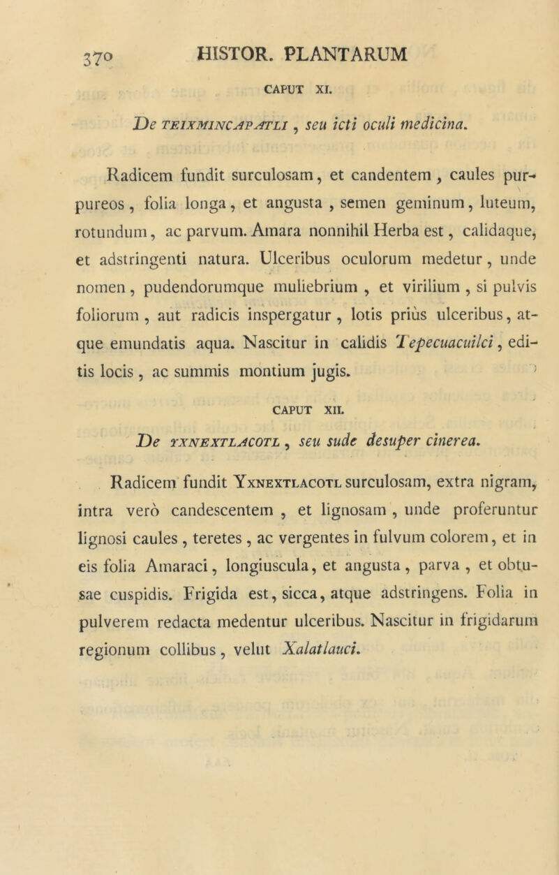 37^ CAPUT XI. T)e TFAXMiNCAVATLi, seu Kti ocuU mcdicina. Radicem fundit surculosam, et candentem, caules pur- pureos , folia longa, et angusta , semen geminum, luteum, rotundum, ac parvum. Amara nonnihil Herba est, calidaque^ et adstringenti natura. Ulceribus oculorum medetur, unde nomen , pudendorumque muliebrium , et virilium , si pulvis foliorum, aut radicis inspergatur, lotis prius ulceribus, at- que emundatis aqua. Nascitur in calidis Tepecuaciiilci, edi- tis locis , ac summis montium jugis. ^ CAPUT XII. T)e rxNEXTLACOTL , seu sude desuper cinerea. Radicem fundit Yxnextlacotl surculosam, extra nigram, intra vero candescentem , et lignosam , unde proferuntur lignosi caules , teretes, ac vergentes in fulvum colorem, et in eis folia Amaraci, longiuscula, et angusta, parva , et obtu- sae cuspidis. Frigida est, sicca, atque adstringens. Folia in pulverem redacta medentur ulceribus. Nascitur in Irigidarum regionum collibus, velut Xalatlatici.