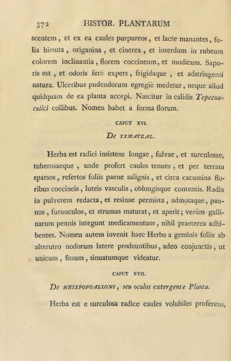 scentem, et ex ea caules purpureos, et lacte manantes, fo- lia hirsuta, origanina , et cinerea , et interdum in rubeum colorem inclinantia, florem coccineum, et modicum. Sapo- ris est , et odoris fere expers, frigidaque , et adstringenti natura. Ulceribus pudendorum egregie medetur, neque aliud quidquam de ea planta accepi. Nascitur in calidis Tepecua^ cuilci collibus. Nomen habet a forma florum. CAPUT XVI. De rXMATZj^L, Herba est radici insistens longae, fulvae, et surculosae, tuberosaeque , unde profert caules tenues , et per terram sparsos, refertos foliis paene salignis, et circa cacumina flo- ribus coccineis, luteis vasculis, oblongisque contentis. Radix in pulverem redacta, et resinae permista, admotaque, pan- nos , furunculos, et strumas maturat, et aperit; verum galli- narum pennis integunt medicamentum, nihil praeterea adhi- bentes. Nomen autem invenit haec Herba a geminis foliis ab alterutro nodorum latere prodeuntibus, adeo conjunctis, ut unicum, fissum, sinuatumque videatur. CAPUT xvir. De NEixPOPO^LLONi ^ seu oculos extergente Planta, Herba est e surculosa radice caules volubiles proferens,