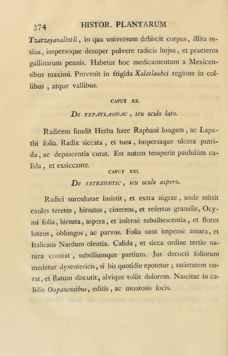 374 Tzatzayanaliztli, in qua universum dehiscit corpus, illita re- sina, inspersoque desuper pulvere radicis hujus, et praeterea gallinarum pennis. Habetur hoc medicamentum a Mexicen- sibus maximi. Provenit in frigida Xalatlauhci regione in col- libus , atque vallibus. CAPUT XX. De rxvATLAHOAC , seu oculo lato. Radicem fundit Herba haec Raphani longam, ac Lapa- thi folia. Radix siccata , et tusa, inspersaque ulcera putri- da , ac depascentia curat. Est autem temperie paululum ca- lida , et exsiccante. CAPUT XXI. De rxTEzONTic, seu oculo aspero. Radici surculosae insistit, et extra nigrae, unde mittit caules teretes , hirsutos, cinereos, et refertos granulis, Ocy- mi folia, hirsuta, aspera, et inferne subalbescentia, et Hores luteos, oblongos, ac parvos. Folia sunt impense amara, et Italicam Nardum olentia. Calida, et sicca ordine tertio na- tura constat , subtiliumque partium. Jus decocti foliorum medetur dysentericis, si bis quotidie epotetur ; satietatem cu- rat, et flatum discutit, alvique tollit dolorem. Nascitur in ca- lidis Oapanensibus, editis , ac montosis locis.