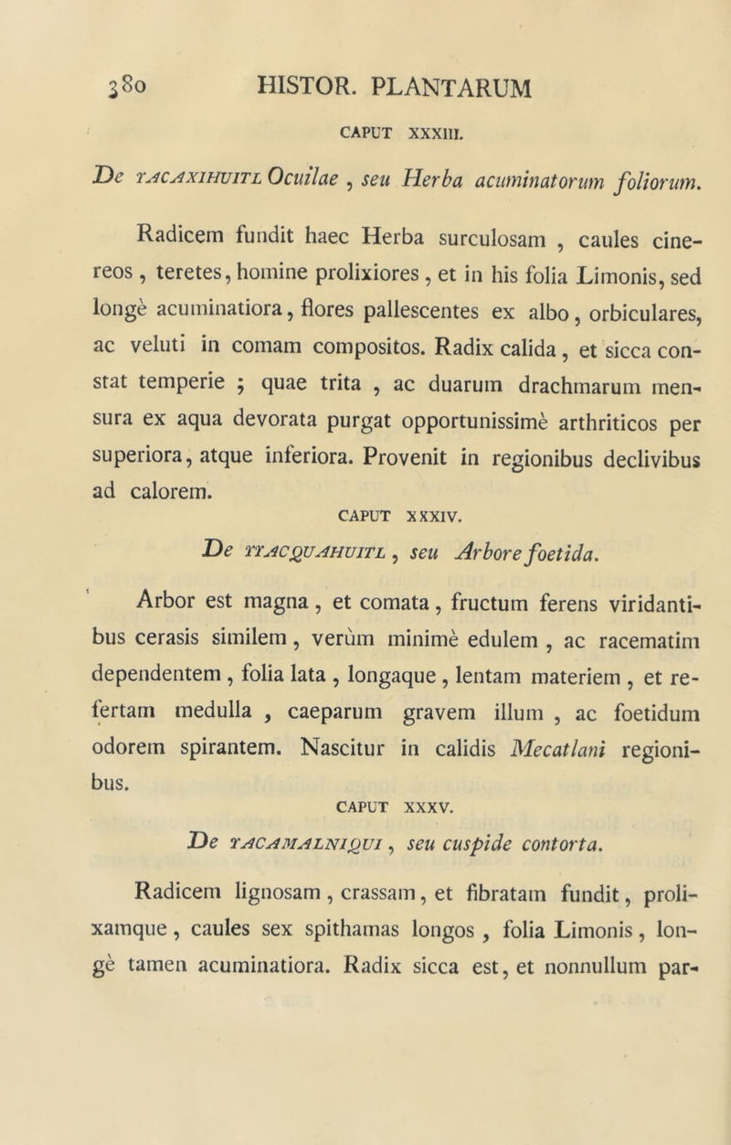 CAPUT XXXIII. De ry^c^xiHujTL Ocuilae , seu Herba acuminatorum foliorum. Radicem fundit haec Herba surculosam , caules cine- reos , teretes, homine prolixiores , et in his folia Limonis, sed longe acuminatiora, flores pallescentes ex albo, orbiculares, ac veluti in comam compositos. Radix calida , et sicca con- stat temperie ; quae trita , ac duarum drachmarum men- sura ex aqua devorata purgat opportunissime arthriticos per superiora, atque inferiora. Provenit in regionibus declivibus ad calorem. CAPUT X XXIV. De ncAC^uAHuiTL seu Arbore foetida. Arbor est magna, et comata, fructum ferens viridanti- bus cerasis similem, verum minime edulem , ac racematim dependentem , folia lata , longaque , lentam materiem , et re- fertam medulla , caeparum gravem illum , ac foetidum odorem spirantem. Nascitur in calidis Mecatlani regioni- bus. CAPUT XXXV. De rACAMALNijQui, seu cuspide contorta. Radicem lignosam , crassam, et fibratam fundit, proli- xamque, caules sex spithamas longos , folia Limonis, lon- ge tamen acuminatiora. Radix sicca est, et nonnullum par-