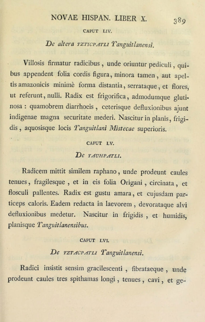 CAPUT LIV. De altera tzticpatli Tangiiitlanensi, Villosis firmatur radicibus , unde oriuntur pediculi, qui- bus appendent folia cordis figura, minora tamen, aut apel- tis amazonicis minime forma distantia, serrataque, et flores, ut referunt, nulli. Radix est frigorifica, admodumque gluti-, nosa : quamobrem diarrhoeis , ceterisque defluxionibus ajunt indigenae magna securitate mederi. Nascitur in planis, frigi- dis , aquosisque locis T^anguitlani Mistecae superioris. CAPUT LV. De rAVHPATLI, Radicem mittit similem raphano, unde prodeunt caules tenues, fragilesque , et in eis folia Origani, circinata, et flosculi pallentes. Radix est gustu amara, et cujusdam par- ticeps caloris. Eadem redacta in laevorem , devorataque alvi defluxionibus medetur. Nascitur in frigidis , et humidis, planisque Tanguitlanensibus, CAPUT LVI. De rzTACPATLi Tanguitlanensi. Radici insistit sensim gracilescenti , fibrataeque , unde prodeunt caules tres spithamas longi, tenues, cavi, et ge-
