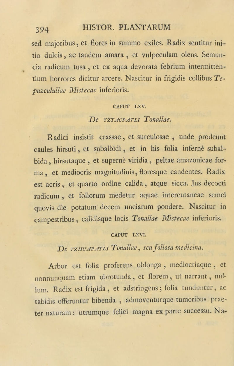 sed majoribus, et flores in summo exiles. Radix sentitur ini- tio dulcis, ac tandem amara, et vulpeculam olens. Semun- cia radicum tusa, et ex aqua devorata febrium intermitten- tium horrores dicitur arcere. Nascitur in frigidis collibus Te- puzculullae Mistecae inferioris. CAPUT LXV. De rzTACVATLi Tonallae, Radici insistit crassae, et surculosae , unde prodeunt caules hirsuti, et subalbidi, et in his folia inferne subal- bida 5 hirsutaque , et superne viridia, peltae amazonicae for- ma , et mediocris magnitudinis, floresque candentes. Radix est acris, et quarto ordine calida, atque sicca. Jus decocti radicum , et foliorum medetur aquae intercutaneae semel quovis die potatum decem unciarum pondere. Nascitur in campestribus, calidisque locis Tonallae Mistecae inferioris. CAPUT LXVI. De tzhuapatli Tonallae ^ seu foliosa medicina. Arbor est folia proferens oblonga , mediocriaque , et nonnunquam etiam obrotunda, et florem, ut narrant, nul- lum. Radix est frigida, et adstringens; folia tunduntur, ac tabidis olferuntur bibenda , admoventurque tumoribus prae- ter naturam: utrumque felici magna ex parte successu. Na-