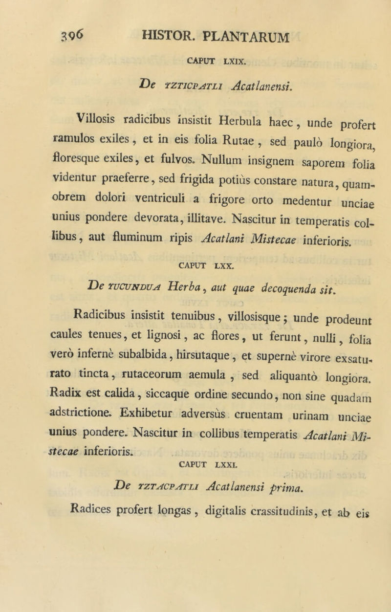 CAPUT LXIX. De rzTicpyiTLi Acatlanensi. Villosis radicibus insistit Herbula haec, unde profert ramulos exiles, et in eis folia Rutae , sed paulo longiora floresque exiles, et fulvos. Nullum insignem saporem folia videntur praeferre, sed frigida potius constare natura, quam-» obrem dolori ventriculi a frigore orto medentur unciae unius pondere devorata, illitave. Nascitur in temperatis col- libus, aut fluminum ripis Acatlani Mistecae inferioris. CAPUT LXX. De wcuNBUA Herba, aut quae decoquenda sit, \ Radicibus insistit tenuibus, villosisque; unde prodeunt caules tenues, et lignosi, ac flores, ut ferunt, nulli, folia vero inferne subalbida, hirsutaque, et superne virore exsatu^ rato tincta, rutaceorum aemula , sed aliquanto longiora. Radix est calida, siccaque ordine secundo, non sine quadam adstrictione. Exhibetur adversus cruentam urinam unciae unius pondere. Nascitur in collibus temperatis Acatlani Mi- stecae inferioris. CAPUT LXXI. De rzTACPATLi Acatlanensi prima. Radices profert longas, digitalis crassitudinis, et ab eis