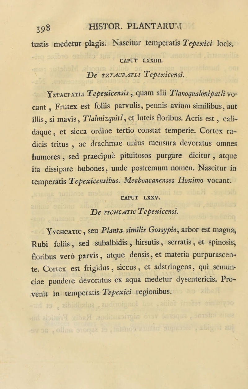 tustis medetur plagis. Nascitur temperatis Tepexici locis. CAPUT LXXIin. De Tepextcensu Yztacpatli Tepexicensis, quam alii TlanoqualonipatU vo- cant , Frutex est foliis parvulis, pennis avium similibus, aut illis, si mavis, Tlalmizquitl^ et luteis floribus. Acris est, cali- daque, et sicca ordine tertio constat temperie. Cortex ra- dicis tritus , ac drachmae unius mensura devoratus omnes humores , sed praecipue pituitosos purgare dicitur , atque ita dissipare bubones, unde postremum nomen. Nascitur in temperatis Tepexkensibus. Mechoacanenses Hoximo vocant. CAPUT LXXV. De TiCHCj^TJcTepexicensi. Yychcatic , seu Flant a smilis Gossypio^ arbor est magna, Rubi foliis, sed subalbidis , hirsutis, serratis, et spinosis, floribus vero parvis, atque densis, et materia purpurascen- te. Cortex est frigidus, siccus, et adstringens, qui semun- ciae pondere devoratus ex aqua medetur dysentericis. Pro- venit in temperatis Tepexici regionibus.