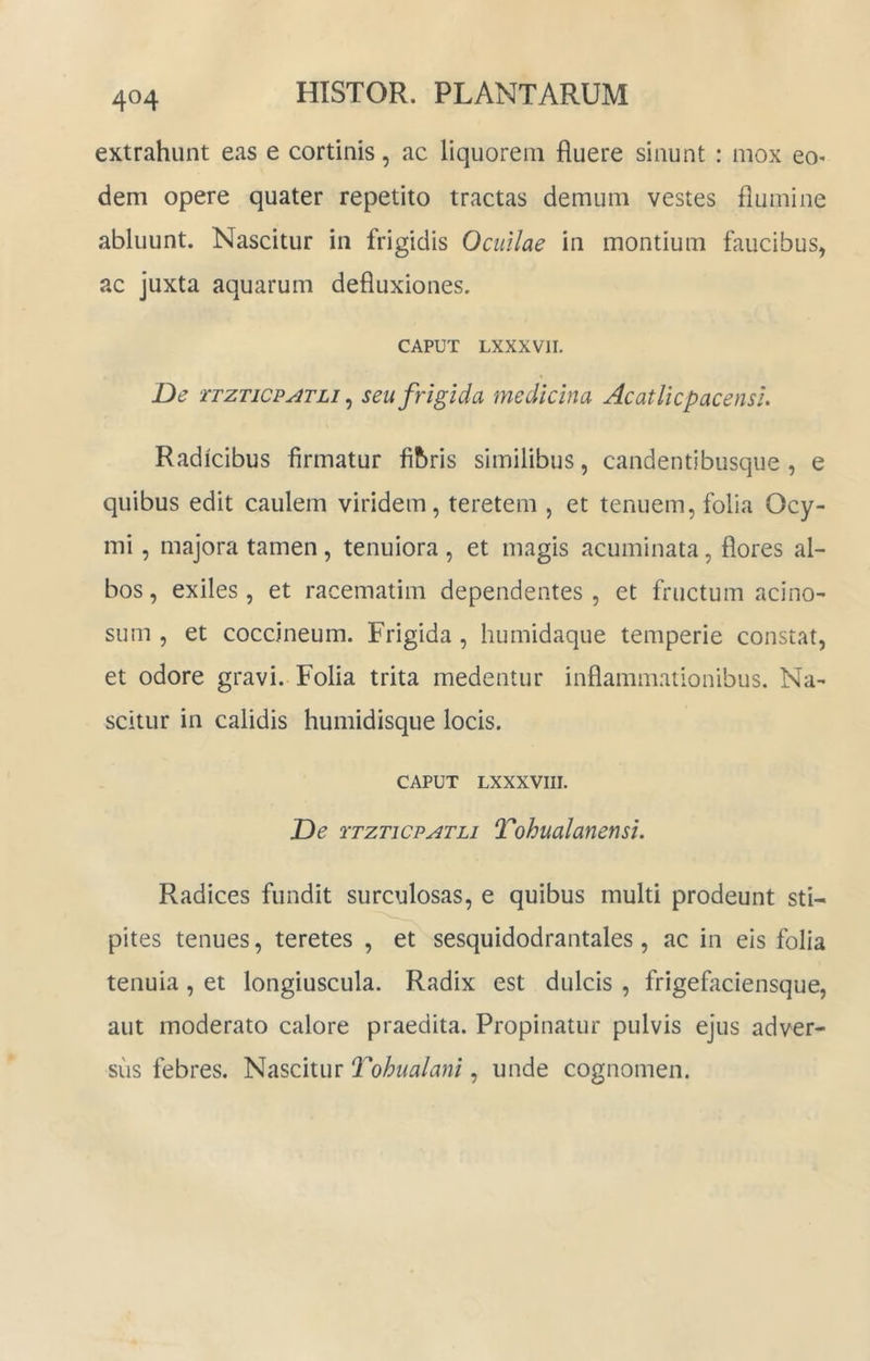 extrahunt eas e cortinis, ac liquorem fluere sinunt : mox eo- dem opere quater repetito tractas demum vestes flumine abluunt. Nascitur in frigidis Ociillae in montium faucibus, ac juxta aquarum defluxiones. CAPUT LXXXVII. De TTZTicPATLi ^ seu frigida medicina AcatUcpacensl. Radicibus firmatur fibris similibus, candentibiisque , e quibus edit caulem viridem, teretem , et tenuem, folia Ocy- mi, majora tamen, tenuiora , et magis acuminata, flores al- bos , exiles , et racematim dependentes , et fructum acino- sum , et coccineum. Frigida, humidaque temperie constat, et odore gravi. Folia trita medentur inflammationibus. Na- scitur in calidis humidisque locis. CAPUT LXXXVIII. De TTZTicp^TLi Tohualanensi. Radices fundit surculosas, e quibus multi prodeunt sti- pites tenues, teretes , et sesquidodrantales, ac in eis folia tenuia, et longiuscula. Radix est dulcis , frigefaciensque, aut moderato calore praedita. Propinatur pulvis ejus adver- sus febres. Nascitur Tohualani, unde cognomen.