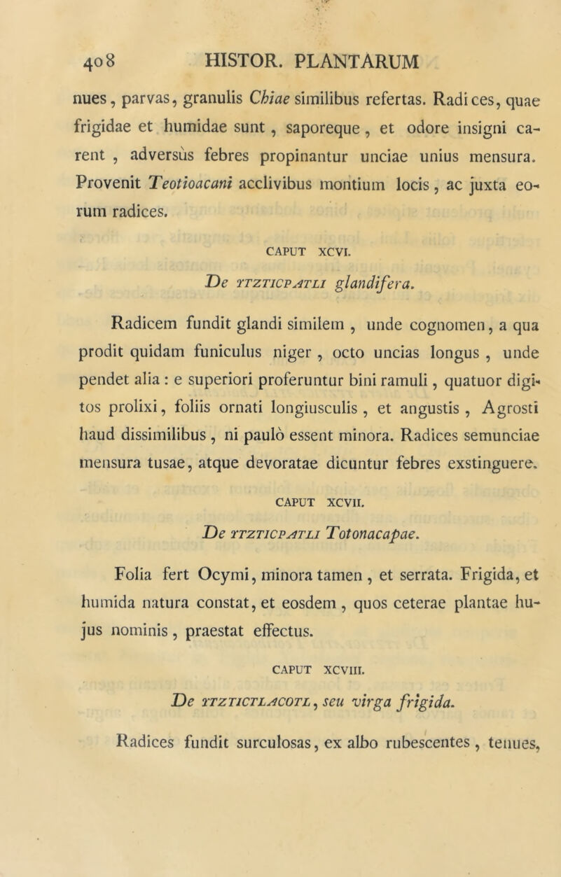 nues, parvas, granulis Chiae similibus refertas. Radices, quae frigidae et humidae sunt, saporeque, et odore insigni ca- rent , adversus febres propinantur unciae unius mensura. Provenit Teotioacani acclivibus montium locis, ac juxta eo- rum radices. CAPUT XCVI. De TTZTicPATLi glandifera. Radicem fundit glandi similem , unde cognomen, a qua prodit quidam funiculus niger, octo uncias longus , unde pendet alia : e superiori proferuntur bini ramuli, quatuor digi** tos prolixi, foliis ornati longiusculis, et angustis, Agrosti haud dissimilibus , ni paulo essent minora. Radices semunciae mensura tusae, atque devoratae dicuntur febres exstinguere. CAPUT XCVII. De TTZTicp^TLi Totonacapae. Folia fert Ocymi, minora tamen , et serrata. Frigida, et humida natura constat, et eosdem, quos ceterae plantae hu- jus nominis, praestat effectus. CAPUT XCVIII. De 1'TZTiCTLACOTL, seu virga frigida. Radices fundit surculosas, ex albo rubescentes, tenues,