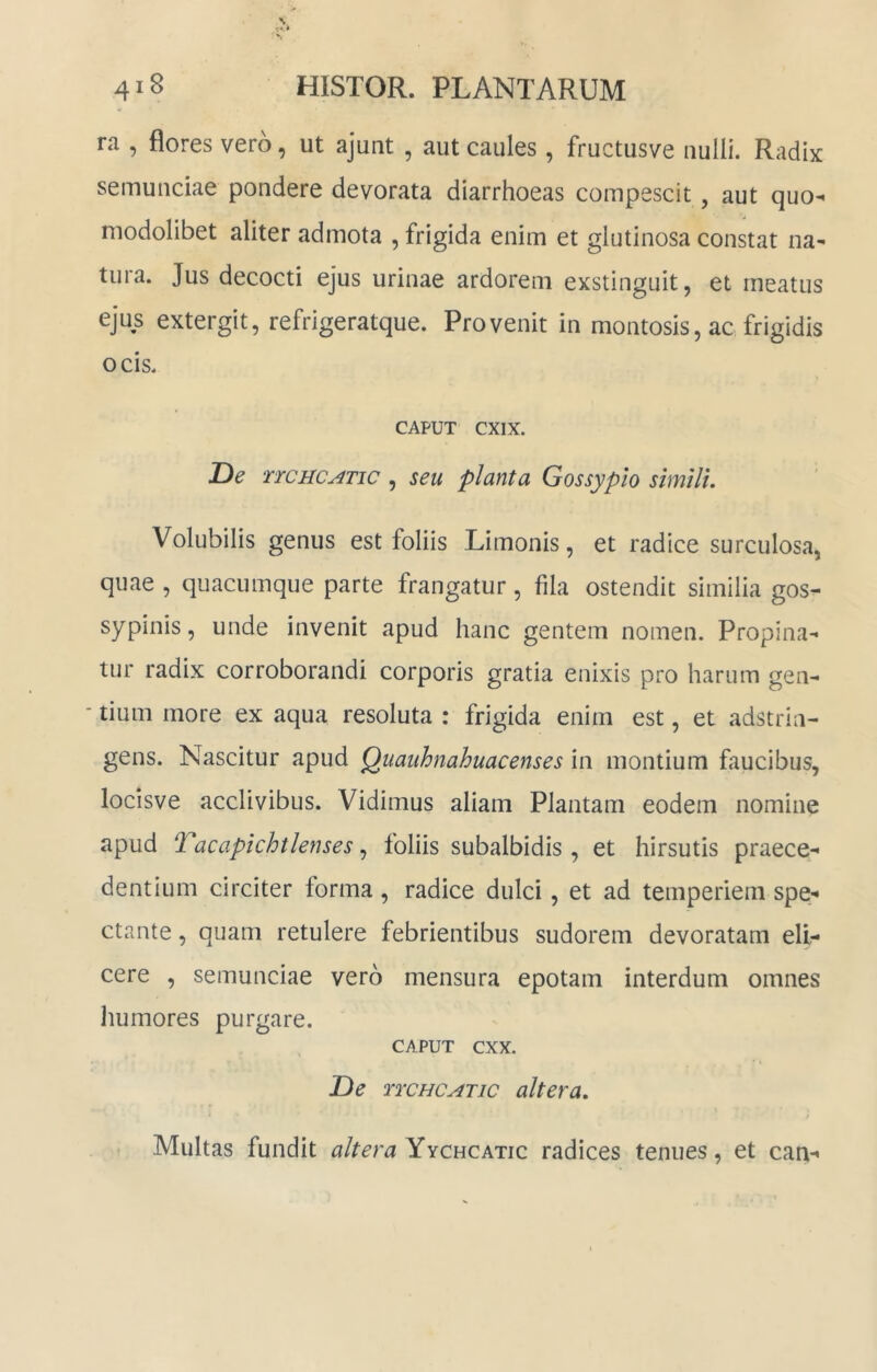 ra , flores vero, ut ajunt , aut caules , fructusve iiulli. Radix semunciae pondere devorata diarrhoeas compescit, aut quo- modolibet aliter admota , frigida enim et glutinosa constat na^ tura. Jus decocti ejus urinae ardorem exstinguit, et meatus ejus extergit, refrigeratque. Provenit in montosis, ac frigidis ocis. CAPUT cxix. De rrcHCATic, seu planta Gossypio simili. Volubilis genus est foliis Limonis, et radice surculosa, quae , quacumque parte frangatur, fila ostendit similia gos- sypinis, unde invenit apud hanc gentem nomen. Propina- tur radix corroborandi corporis gratia enixis pro harum gen- - tium more ex aqua resoluta : frigida enim est, et adstrin- gens. Nascitur apud Quauhnahuacenses in montium faucibus, locisve acclivibus. Vidimus aliam Plantam eodem nomine apud Tacapichtlenses, loliis subalbidis, et hirsutis praece- dentium circiter forma , radice dulci, et ad temperiem spe- ctante , quam retulere febrientibus sudorem devoratam elL cere , semunciae vero mensura epotam interdum omnes liumores purgare. CAPUT cxx. De TTCHCATic altera. Multas fundit altera Yychcatic radices tenues, et can-