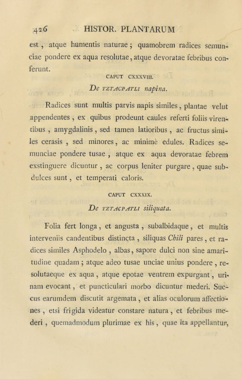 est , atque humentis naturae; quamobrem radices semun» ciae pondere ex aqua resolutae, atque devoratae febribus con*» ferunt. CAPUT CXXXVIII. De TZTACPATLi napina. Radices sunt multis parvis napis similes, plantae velut appendentes , ex quibus prodeunt caules referti foliis viren-i tibus , amygdalinis, sed tamen latioribus, ac fructus simi- les cerasis , sed minores, ac minime edules. Radices se- t munciae pondere tusae , atque ex aqua devoratae febrem exstinguere dicuntur , ac corpus leniter purgare, quae sub- dulces sunt 5 et temperati caloris. CAPUT cxxxix. De rzTACPATLi siliquata. Folia fert longa, et angusta , subalbidaque, et multis interveniis candentibus distincta , siliquas Chili pares, et ra- dices similes Asphodelo , albas, sapore dulci non sine amari- tudine quadam ; atque adeo tusae unciae unius pondere , re- solutaeque ex aqua, atque epotae ventrem expurgant, uri- nam evocant, et puncticulari morbo dicuntur mederi. Suc- cus earumdem discutit argemata , et alias oculorum affectio- nes , etsi frigida videatur constare natura, et febribus me- deri , quemadmodum plurimae ex his, quae ita appellantur.