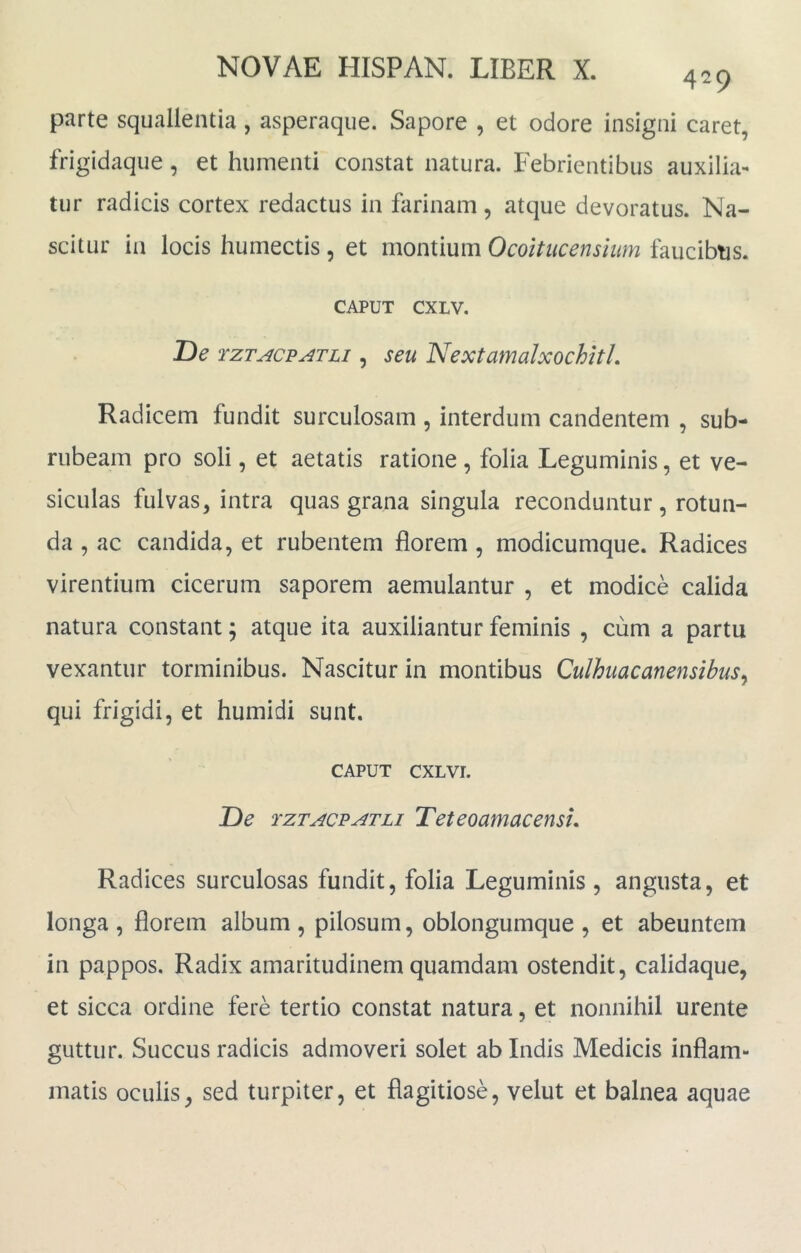 429 parte squallentia, asperaqiie. Sapore , et odore insigni caret, frigidaque, et humenti constat natura. Febrientibus auxilia- tur radicis cortex redactus in farinam, atque devoratus. Na- scitur in locis humectis , et montium Ocoitiicensium faucibtjs. CAPUT CXLV. De rzTACPATLi, seu NextamaIxochitL Radicem fundit surculosam , interdum candentem , sub- rubeam pro soli, et aetatis ratione, folia Leguminis, et ve- siculas fulvas, intra quas grana singula reconduntur, rotun- da , ac candida, et rubentem florem , modicumque. Radices virentium cicerum saporem aemulantur , et modice calida natura constant; atque ita auxiliantur feminis , cum a partu vexantur torminibus. Nascitur in montibus Culhuacanensibusy qui frigidi, et humidi sunt. CAPUT CXLVI. De TZTACPATLi TeteoamaceusL Radices surculosas fundit, folia Leguminis, angusta, et longa , florem album , pilosum, oblongumque , et abeuntem in pappos. Radix amaritudinem quamdam ostendit, calidaque, et sicca ordine fere tertio constat natura, et nonnihil urente guttur. Succus radicis admoveri solet ab Indis Medicis inflam- matis oculis, sed turpiter, et flagitiose, velut et balnea aquae