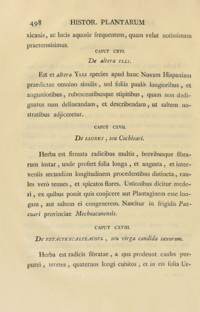 xicanis, ac locis aquosis frequentem, quam velut notissimam praetermisimus. CAPUT cxvi. De altera tlli. Est et altera Ylli species apud hanc Novam Hispaniam praedictae omnino similis , sed foliis paulo longioribus, et angustioribus, rubescentibusque stipitibus, quam non dedi- gnatus sum delineandam, et describendam, ut saltem no- stratibus adjiceretur. CAPUT CXVII. i De LLORES, seu Cochleari, Herba est firmata radicibus multis , brevibusque fibra- rum instar, unde profert folia longa , et angusta, et inter- veniis secundum longitudinem procedentibus distincta, cau- les vero tenues , et spicatos flores. Ustionibus dicitur mede- ri , ex quibus possit quis conjicere aut Plantaginem esse lon- gam , aut saltem ei congenerem. Nascitur in frigidis Faz- cuari provinciae Mechoacanensis, CAPUT CXVIII. De rzTACTExCALTLACOTL , seu virga candida saxorum. Herba est radicis fibratae , a qua prodeunt caules pur- purei , teretes , quaternos longi cubitos , et in eis folia Ur-