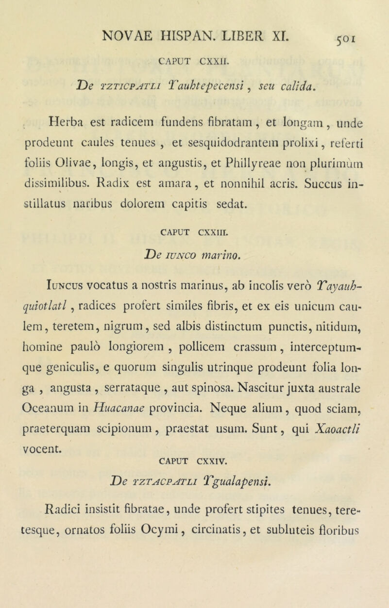 CAPUT CXXIL De TZTicp^TLi Tauhtepecensi, seu calida. Herba est radicem fundens fibratam, et longam , unde prodeunt caules tenues, et sesquidodrantem prolixi, referti foliis Olivae, longis, et angustis, et Phillyreae non plurimum dissimilibus. Radix est amara, et nonnihil acris. Succus in- V stillatus naribus dolorem capitis sedat. CAPUT cxxiir. De lUNCO marino, luNCus vocatus a nostris marinus, ab incolis vero Tayaiih- quiotlatl, radices profert similes fibris, et ex eis unicum cau- lem, teretem, nigrum, sed albis distinctum punctis, nitidum, homine paulo longiorem , pollicem crassum, interceptum- que geniculis, e quorum singulis utrinque prodeunt folia lon- ga , angusta , serrataque , aut spinosa. Nascitur juxta australe Oceanum in Huacanae provincia. Neque alium, quod sciam, praeterquam scipionum, praestat usum. Sunt, qui Xaoactli vocent. CAPUT cxxiv. De tztacpj^tli Tgualapensi, Radici insistit fibratae, unde profert stipites tenues, tere- tesque, ornatos foliis Ocymi, circinatis, et subluteis floribus