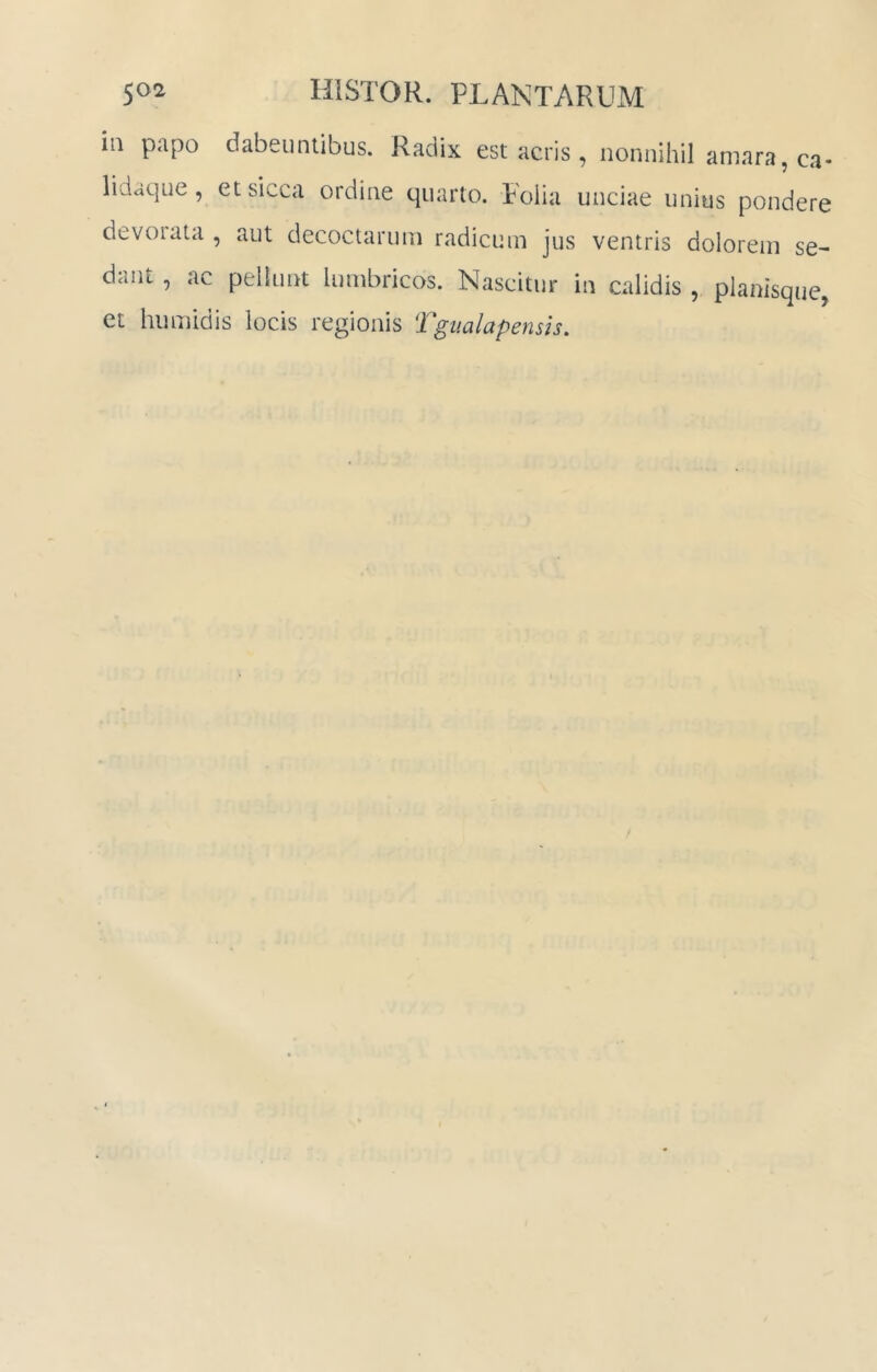 iii papo dabeuntibus. Radix est acris, nonnihil amara, ca- lidaque , et sicca ordine quarto. Folia unciae unius pondere devoiata , aut decoctarum radicum jus ventris dolorem se- dant , ac pellunt lumbricos. Nascitur in calidis , planisque, et humidis locis regionis Tgualapensis.