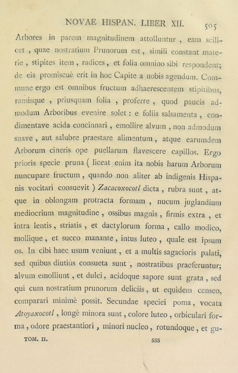 Arbores in parem magnitudinem attolluntur , eam scili- cet , quae nostratium Prunorum est, simili constant mate- rie , stipites item , radices, et folia omnino sibi respondent* de eis promiscue erit in hoc Capite a nobis agendum. Com- mune ergo est omnibus fructum adhaerescentem stipitibus, ramisque , priusquam folia , proferre , quod paucis ad- modum Arboribus evenire solet : e foliis salsamenta , con- dimentave acida concinnari , emollire alvum , non admodum suave , aut salubre praestare alimentum , atque earumdem Arborum cineris ope puellarum flavescere capillos. Ergo prioris specie pruna ( liceat enim ita nobis harum Arborum nuncupare fructum , quando non aliter ab indigenis Hispa- nis vocitari consuevit ) Zacacoxocotl dicta , rubra sunt , at- que in oblongam protracta formam , nucum juglandium mediocrium magnitudine , ossibus magnis , firmis extra , et intra lentis, striatis , et dactylorum forma , callo modico, mollique, et succo manante, intus luteo , quale est ipsum os. In cibi haec usum veniunt, et a multis sagacioris palati, sed quibus diutius consueta sunt , nostratibus praeferuntur; alvum emolliunt, et dulci, acidoque sapore sunt grata , sed qui cum nostratium prunorum deliciis, ut equidem censeo, comparari minime possit. Secundae speciei poma, vocata Atoyaxocotl, longe minora sunt, colore luteo , orbiculari for- ma , odore praestantiori, minori nucleo, rotundoque, et gu- sss