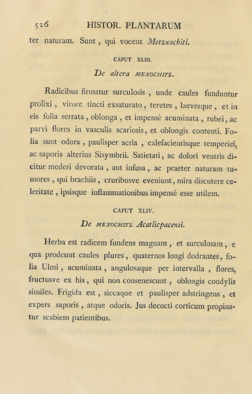 ter naturam. Sunt, 'qui vocent MetzxochhL CAPUT XLIir. j De altera mexochitl. Radicibus firmatur surculosis , unde caules funduntur prolixi, virore tincti exsaturato , teretes , laevesque , et in eis folia serrata , oblonga , et impense acuminata , rubei, ac parvi flores in vasculis scarlosis, et oblongis contenti. Fo- lia sunt odora , paulisper acria , calefacientisque temperiei, ac saporis alterius Sisymbrii. Satietati, ac dolori ventris di- citur mederi devorata , aut infusa, ac praeter naturam tu-* mores, qui brachiis, cruribusve eveniunt, mira discutere ce- leritate , ipsisque inflammationibus impense esse utilem. CAPUT XLIV. De MEXOCHITL Acatltcpacensi, Herba est radicem fundens magnam , et surculosam , e qua prodeunt caules plures , quaternos longi dodrantes, fo- lia Ulmi , acuminata , angulosaque per intervalla , flores, fructusve ex his, qui non consenescunt, oblongis condylis similes. Frigida est , siccaque et paulisper adstringens , et expers saporis , atque odoris. Jus decocti corticum propina-^ tur scabiem patientibus.