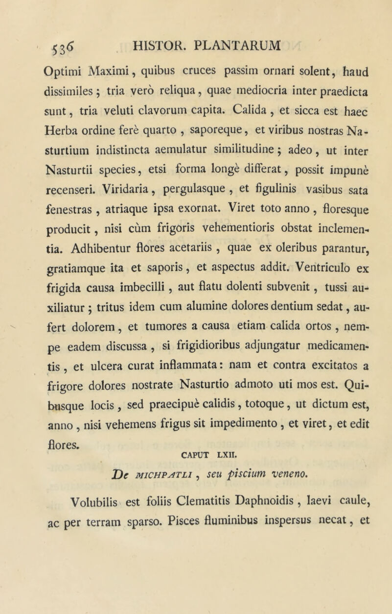 Optimi Maximi, quibus cruces passim ornari solent, haud dissimiles; tria vero reliqua, quae mediocria inter praedicta sunt, tria veluti clavorum capita. Calida , et sicca est haec Herba ordine fere quarto , saporeque, et viribus nostras Na- sturtium indistincta aemulatur similitudine; adeo, ut inter Nasturtii species, etsi forma longe differat, possit impune recenseri. Viridaria, pergulasque , et figulinis vasibus sata fenestras , atriaque ipsa exornat. Viret toto anno , floresque producit, nisi cum frigoris vehementioris obstat inclemen^ tia. Adhibentur flores acetariis , quae ex oleribus parantur, gratiamque ita et saporis, et aspectus addit. Ventriculo ex frigida causa imbecilli, aut flatu dolenti subvenit, tussi au- xiliatur ; tritus idem cum alumine dolores dentium sedat, au- fert dolorem, et tumores a causa etiam calida ortos, nem- pe eadem discussa , si frigidioribus adjungatur medicamen- tis , et ulcera curat inflammata: nam et contra excitatos a frigore dolores nostrate Nasturtio admoto uti mos est. Qui- busque locis , sed praecipue calidis , totoque, ut dictum est, anno , nisi vehemens frigus sit impedimento, et viret, et edit flores. CAPUT LXII. De MiCHPATLi, seu piscium veneno. Volubilis' est foliis Clematitis Daphnoidis , laevi caule, ac per terram sparso. Pisces fluminibus inspersus necat, et