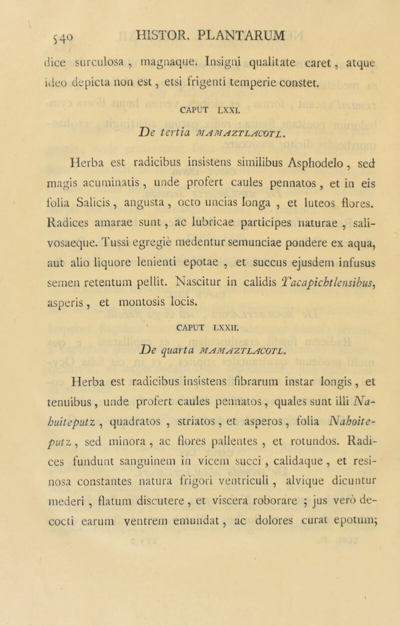 < dice surculosa , niagnaque. Insigni qualitate caret, atque ideo depicta non est, etsi frigenti temperie constet. CAPUT LXXI. De tertia mamaztlacotl. Herba est radicibus insistens similibus Asphodelo, sed magis acuminatis, unde profert caules pennatos, et in eis folia Salicis, angusta, octo uncias longa , et luteos flores. Radices amarae sunt, ac lubricae participes naturae , sali- vosaeque. Tussi egregie medentur semunciae pondere ex aqua, aut alio liquore lenienti epotae , et succus ejusdem infusus semen retentum pellit. Nascitur in calidis Tacapichtlensibus^ asperis, et montosis locis. ■ CAPUT LXXII. De quarta mamaztlacotl. Herba est radicibus insistens fibrarum instar longis, et tenuibus, unde profert caules pennatos, quales sunt illi Na- huiteputz , quadratos , striatos, et asperos, folia Nahoite- pLitz ^ sed minora, ac flores pallentes, et rotundos. Radi- ces fundunt sanguinem in vicem succi , calidaque, et resi- nosa constantes natura frigori ventriculi , alvique dicuntur mederi , flatum discutere, et viscera roborare ; jus vero de- cocti earum ventrem emundat, ac dolores curat epotuiiq