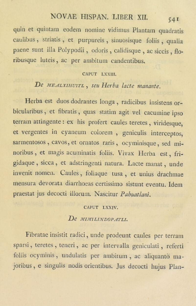 quin et quintam eodem nomine vidimus Plantam quadratis caulibus, striatis , et purpureis , sinuosisque foliis , qualia paene sunt illa Polypodii, odoris , calidisque , ac siccis , flo- ribusque luteis, ac per ambitum candentibus. CAPUT LXXIir. De MEALxiHuiTL , seu Herba lacte manante. Herba est duos dodrantes longa , radicibus insistens or- bicularibus , et fibratis, quas statim agit vel cacumine ipso terram attingente : ex his profert caules teretes, viridesque, et vergentes in cyaneum colorem , geniculis interceptos, sarmentosos, cavos, et ornatos raris, ocyminisque, sed mi- noribus , et magis acuminatis foliis. Vivax Herba est, fri- gidaque , sicca, et adstringenti natura. Lacte manat, unde invenit nomen. Caules, foliaque tusa, et unius drachmae mensura devorata diarrhoeas certissimo sistunt eventu. Idem praestat jus decocti iliorum. Nascitur Pahuatlani, CAPUT LXXIV. De MIMILINBOPATLI, Fibratae insistit radici, unde prodeunt caules per terram sparsi, teretes , teneri, ac per intervalla geniculati, referti foliis ocyminis, undulatis per ambitum , ac aliquanto ma- joribus , e singulis nodis orientibus. Jus decocti hujus Plan-