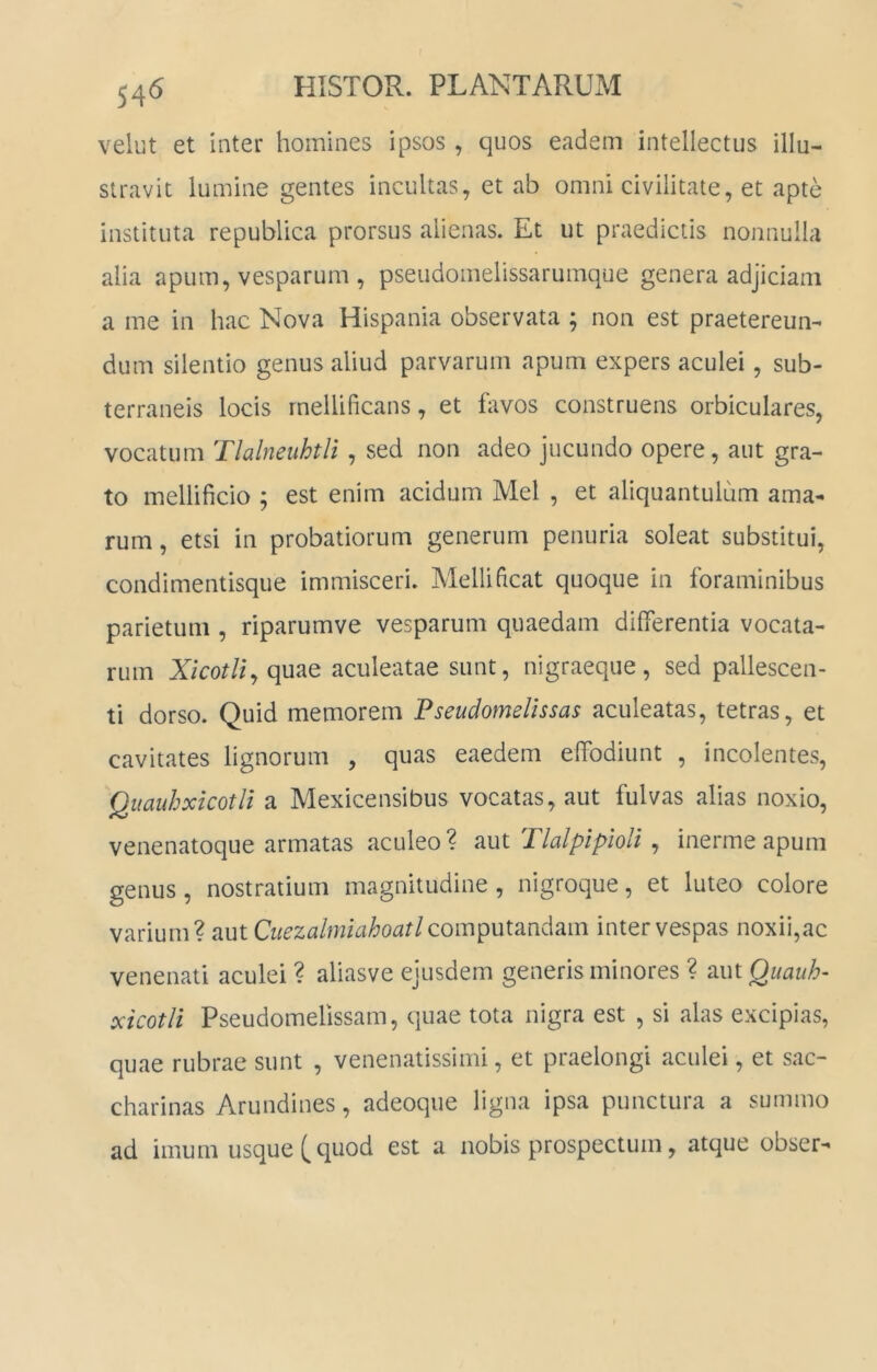 velut et inter homines ipsos , quos eadem intellectus illu- stravit lumine gentes incultas, et ab omni civilitate, et apte instituta republica prorsus alienas. Et ut praedictis nonnulla alia apum, vesparum , pseudomelissarumque genera adjiciam a me in hac Nova Hispania observata ; non est praetereun- dum silentio genus aliud parvarum apum expers aculei, sub- terraneis locis mellificans, et fitvos construens orbiculares, vocatum Tlalneuhtli, sed non adeo jucundo opere, aut gra- to mellificio ; est enim acidum Mei , et aliquantulum ama- rum, etsi in probatiorum generum penuria soleat substitui, condimentisque immisceri. Mellificat quoque in foraminibus parietum , riparumve vesparum quaedam differentia vocata- rum Xicor/i, quae aculeatae sunt, nigraeque, sed pallescen- ti dorso. Quid memorem Pseudomelissas aculeatas, tetras, et cavitates lignorum , quas eaedem effodiunt , incolentes, Qiiauhxicotli a Mexicensibus vocatas, aut fulvas alias noxio, venenatoque armatas aculeo 1 aut TlalpipioH , inerme apum genus, nostratium magnitudine, nigroque, et luteo colore varium? aut Cuezalmiahoatl inter vespas noxii,ac venenati aculei ? aliasve ejusdem generis minores ? 2i\\iQuauh- xicotH Pseudomelissam, quae tota nigra est , si alas excipias, quae rubrae sunt , venenatissimi, et praelongi aculei, et sac- charinas Arundines, adeoque ligna ipsa punctura a summo ad imum usque quod est a nobis prospectum, atque obser-