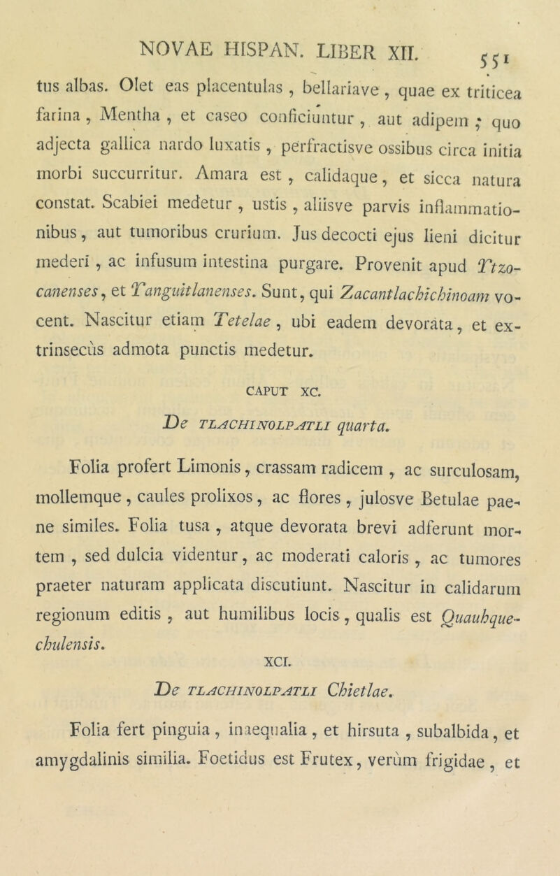 • tiis albas. Olet eas placeiitulas , bellariave, quae ex triticea farina, Mentha, et caseo conficiuntur, aut adipem,- quo adjecta gallica nardo luxatis, perfractisve ossibus circa initia morbi succurritur. Amara est , calidaque, et sicca natura constat. Scabiei medetur, ustis , aliisve parvis inflammatio- nibus, aut tumoribus crurium. Jus decocti ejus lieni dicitur mederi , ac infusum intestina purgare. Provenit apud Ttzo- canenses^ et Tanguitlanenses, Sunt, qui Zacantlachichinoam vo- cent. Nascitur etiam Tetelae ^ ubi eadem devorata, et ex- trinsecus admota punctis medetur. CAPUT xc. De TLACHiNOLFATLi quurta, Folia profert Limonis, crassam radicem , ac surculosam, mollemque, caules prolixos, ac flores , julosve Betulae pae- ne similes. Folia tusa , atque devorata brevi adferunt mor- tem , sed dulcia videntur, ac moderati caloris , ac tumores praeter naturam applicata discutiunt. Nascitur in calidarum regionum editis , aut humilibus locis, qualis est Quauhque- chulensis, xcr. De TLACHiNOLPATLi Chktlae, Folia fert pinguia, inaequalia, et hirsuta , subalbida, et amygdalinis similia. Foetidus est Frutex, verum frigidae, et