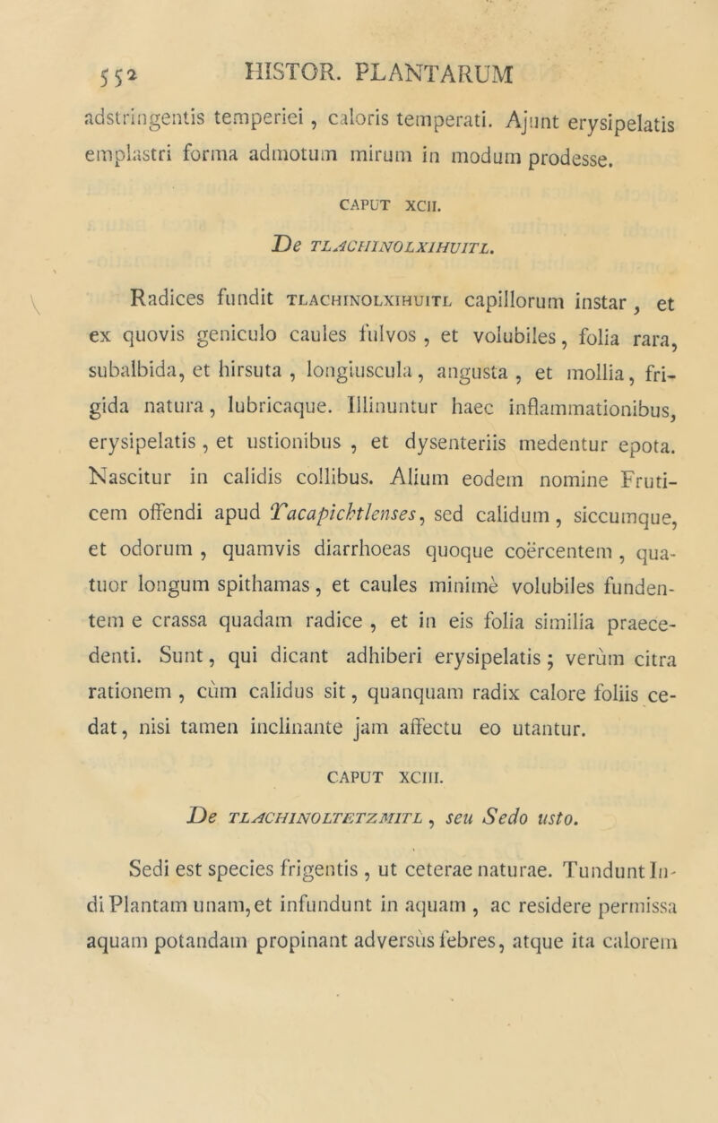 adstringentis temperiei, caloris temperati. Ajiint erysipelatis emplastri forma admotum mirum in modum prodesse. CAPUT XCII. De TLACHINOLXIHVITU Radices fundit tlachinolxihuitl capillorum instar, et ex quovis geniculo caules fulvos, et volubiles, folia rara, subalbida, et hirsuta , longiuscula, angusta, et mollia, fri- gida natura, lubricaque. Illinuntur haec inflammationibus, erysipelatis, et ustionibus , et dysenteriis medentur epota. Nascitur in calidis collibus. Alium eodem nomine Fruti- cem olfendi apud Tacapichtlenses^ sed calidum, siccumque, et odorum , quamvis diarrhoeas quoque coercentem , qua- tuor longum spithamas, et caules minime volubiles funden- tem e crassa quadam radice , et in eis folia similia praece- denti. Sunt, qui dicant adhiberi erysipelatis; verum citra rationem , cum calidus sit, quanquam radix calore foliis ce- dat, nisi tamen inclinante jam affectu eo utantur. CAPUT XCIII. De TLACHiNOLTETZMiTL, seu Sedo usto. Sedi est species frigentis , ut ceterae naturae. Tundunt Iii' di Plantam unam, et infundunt in aquam , ac residere permissa aquam potandam propinant adversus febres, atque ita calorem