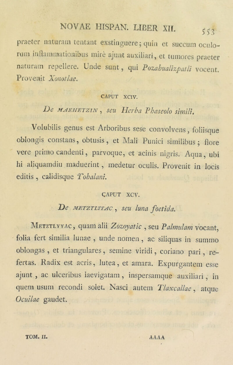 praeter naturam teiitant exstinguere; quiii et succum oculo- rum inaammationibus mire ajunt auxiliari, et tumores praeter naturam lepelleie. Unde sunt, qui Pozahuctlizpcitli vocent. Provenit Xo?iotlae. CAPUT xciv. De M.4EHETZIN, seu Herba Phaseolo simili. Volubilis genus est Arboribus sese convolvens, foliisque oblongis constans, obtusis, et Mali Punici similibus; Bore vere primo candenti, parvoque, et acinis nigris. Aqua, ubi hi aliquamdiu maduerint, medetur oculis. Provenit in locis editis , calidisque Tohalani, CAPUT xcv. De METZTLTiAc , seu luua foetidu. Metztlyyac, quam alii Zozoyatic , seu Palmulam vocant, folia fert similia lunae , unde nomen , ac siliquas in summo oblongas , et triangulares, semine viridi, coriano pari, re- fertas. Radix est acris, lutea, et amara. Expurgantem esse ajunt , ac ulceribus iaevigatam , inspersamque auxiliari, in quem usum recondi solet. Nasci autem Tlaxcallae, atque Ocuilae gaudet.