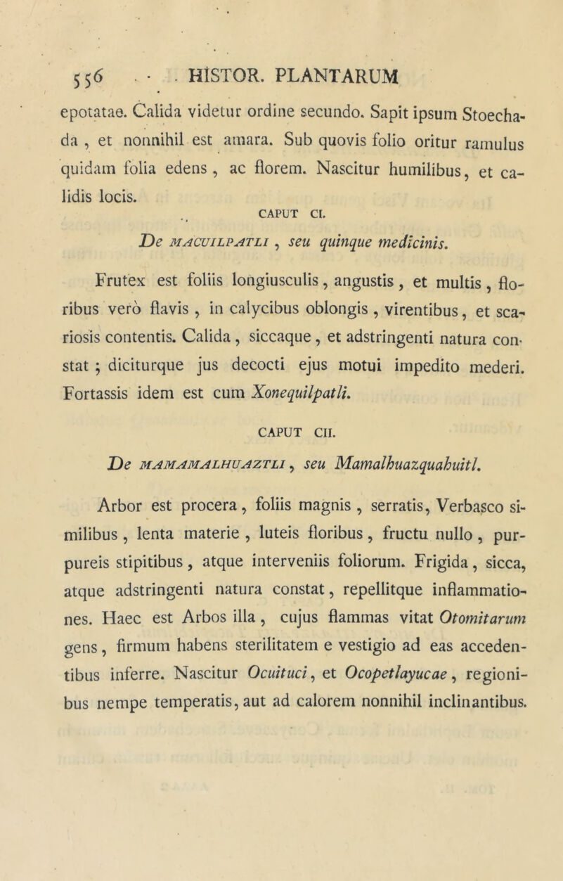 epotatae. Calida videlur ordine secundo. Sapit ipsum Stoecha- da , et nonnihil est amara. Sub quovis folio oritur ramulus quidam folia edens, ac florem. Nascitur humilibus, et ca- lidis locis. CAPUT ci. De MACuiLPATLi, seu quinque medicinis. Frutex est foliis longiusculis, angustis , et multis , flo- ribus vero flavis , in calycibus oblongis , virentibus, et sca- riosis contentis. Calida , siccaque, et adstringenti natura con- stat ; diciturque jus decocti ejus motui impedito mederi. Fortassis idem est cum XonequilpatU, CAPUT CII. De MAMAMALHUAZTLi y seu Mamulhuazquahuitl, Arbor est procera, foliis magnis, serratis. Verbasco si- milibus , lenta materie , luteis floribus, fructu nullo, pur- pureis stipitibus, atque interveniis foliorum. Frigida, sicca, atque adstringenti natura constat, repellitque inflammatio- nes. Haec est Arbos illa, cujus flammas vitat Otomitarum gens, firmum habens sterilitatem e vestigio ad eas acceden- tibus inferre. Nascitur Ocuituciy et Ocopetlayucae y regioni- bus nempe temperatis, aut ad calorem nonnihil inclinantibus.