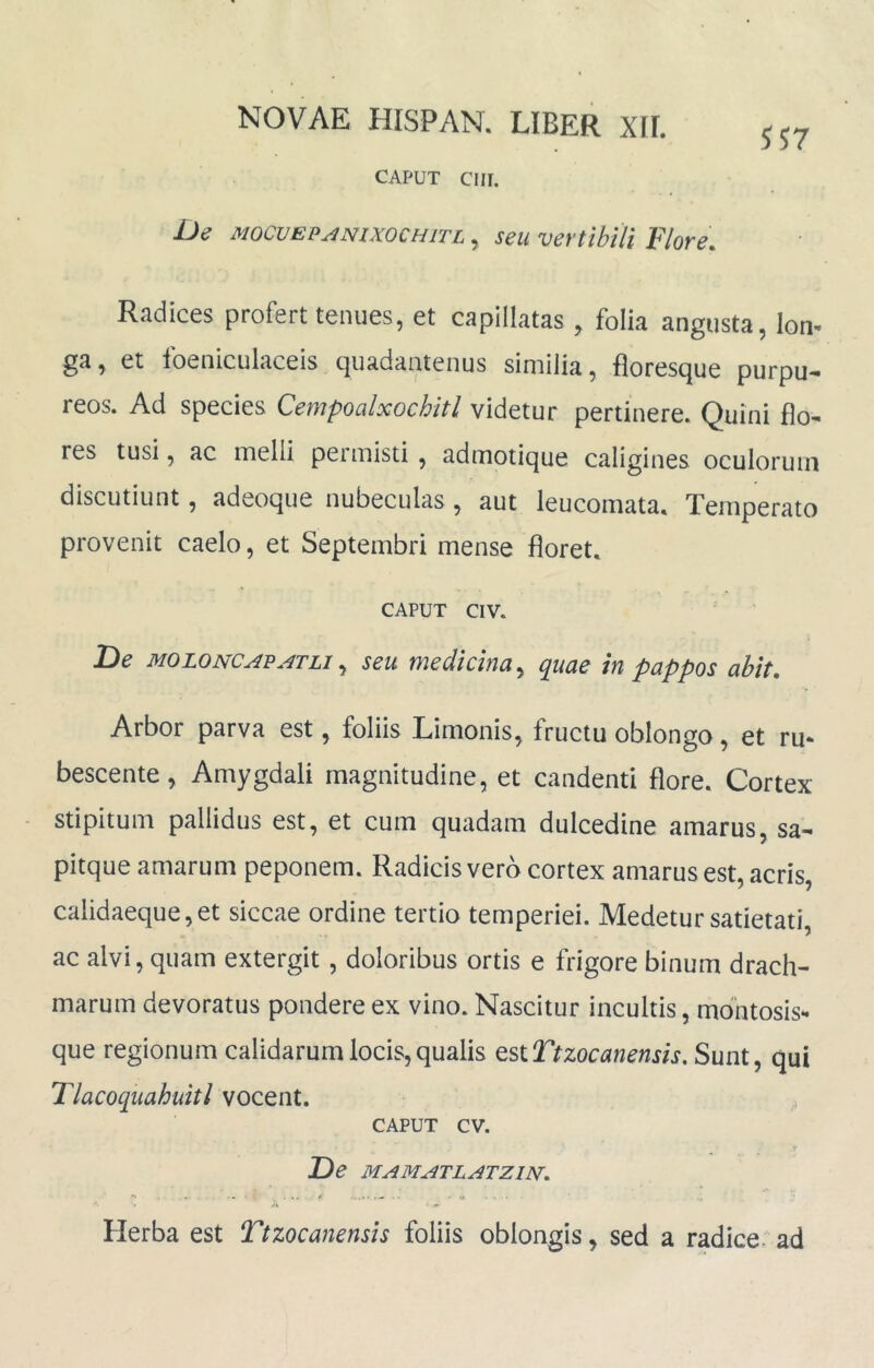 CAPUT Clir. De MocuEP^mxocHiTL, seu vertibili Flore. Radices profert tenues, et capillatas, folia angusta, Ion- ga, et foeniculaceis quadaatenus similia, floresque purpu- reos. Ad species Cempoalxochitl videtur pertinere. Quini flo- res tusi, ac melli permisti , admotique caligines oculorum discutiunt, adeoque nubeculas , aut leucomata. Temperato provenit caelo, et Septembri mense floret. CAPUT CIV. De MOLONCAP.4TL1 ^ seu medicina^ quae in pappos abit. Arbor parva est, foliis Limonis, fructu oblongo, et ru- bescente , Amygdali magnitudine, et candenti flore. Cortex stipitum pallidus est, et cum quadam dulcedine amarus, sa- pitque amarum peponem. Radicis vero cortex amarus est, acris, calidaeque,et siccae ordine tertio temperiei. Medetur satietati, ac alvi, quam extergit, doloribus ortis e frigore binum drach- marum devoratus pondere ex vino. Nascitur incultis, montosis- que regionum calidarum locis,qualis QsiTtzocanensis. Sunt, qui Tlacoquahuitl vocent. CAPUT cv. De MAMATLATZIN. • /s ' •• Herba est Ttzocanensis foliis oblongis, sed a radice.' ad